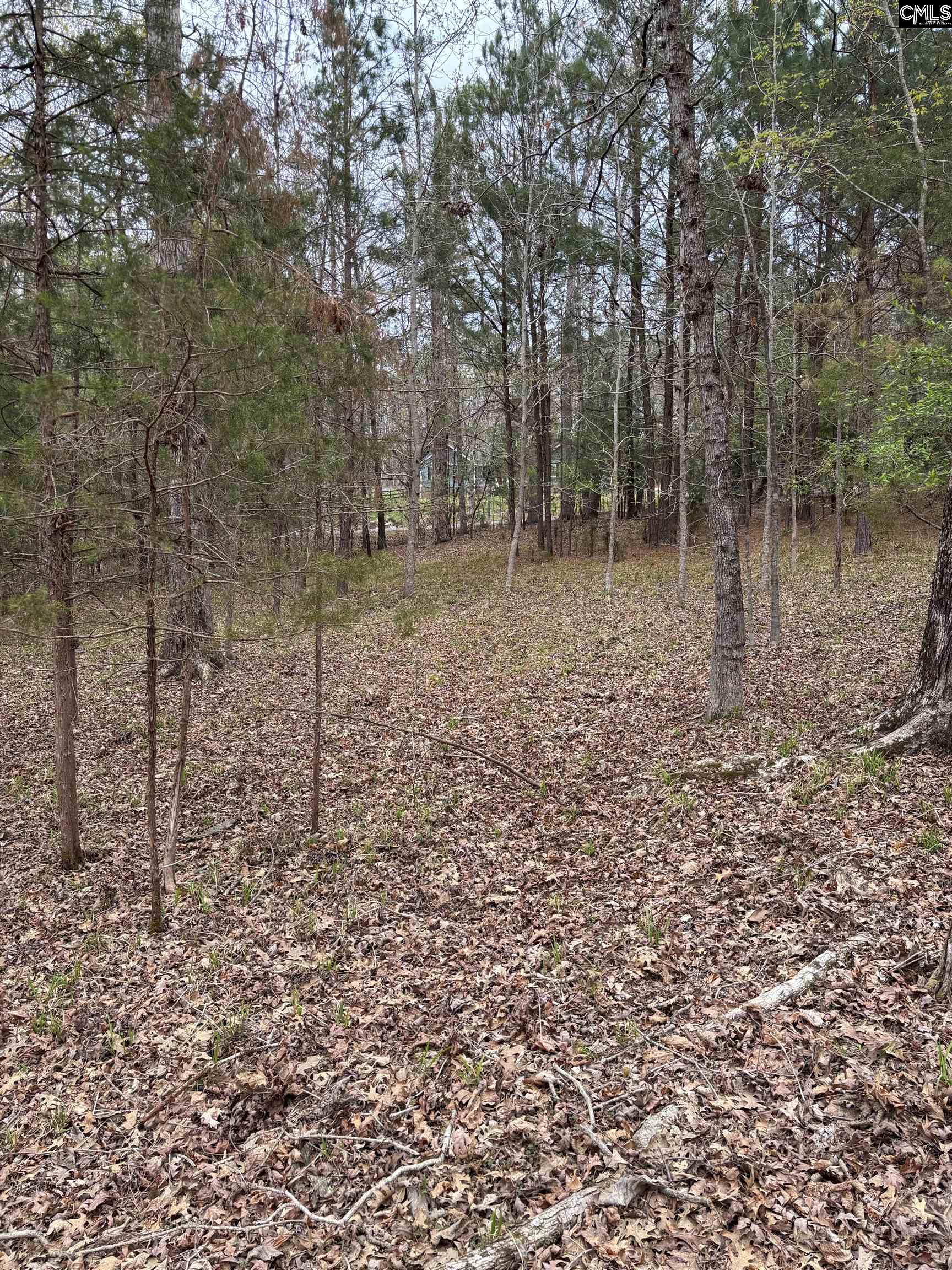 231 Tortoise Trail, Batesburg, South Carolina image 12