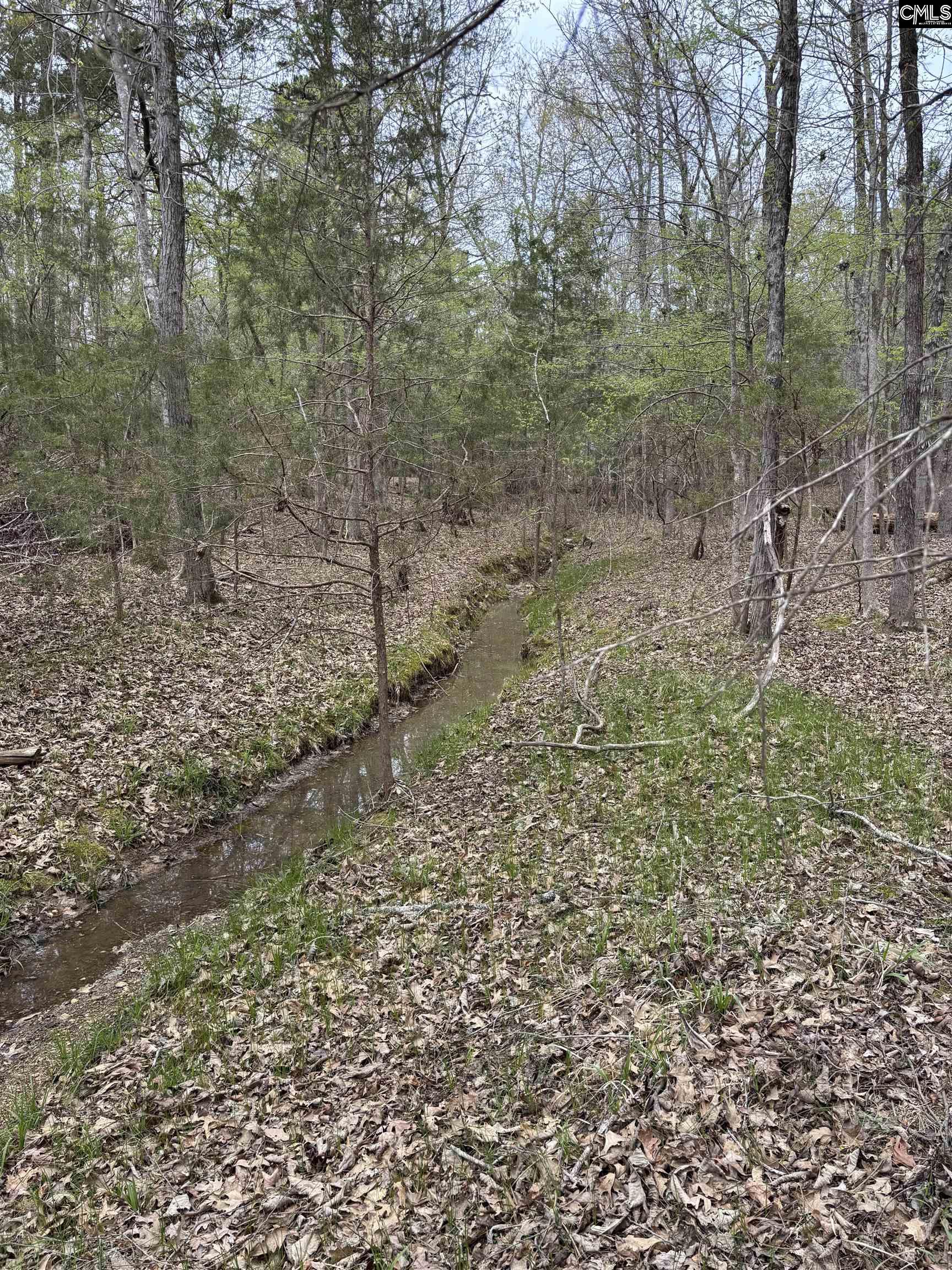 231 Tortoise Trail, Batesburg, South Carolina image 16