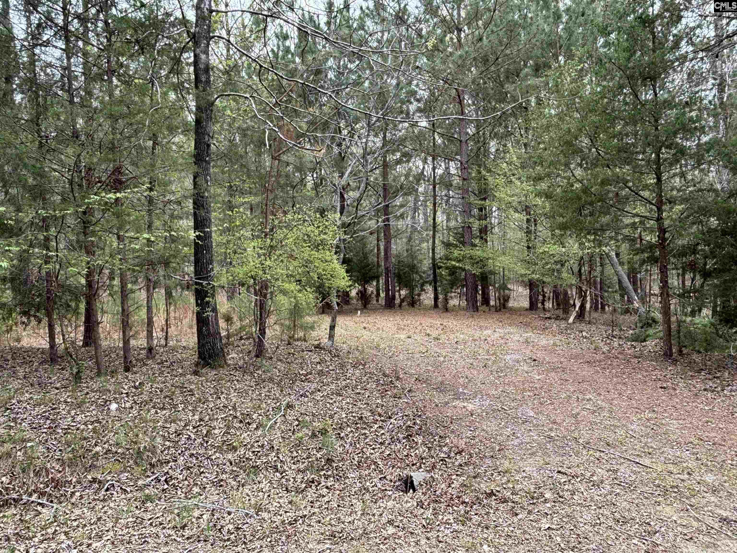 231 Tortoise Trail, Batesburg, South Carolina image 5
