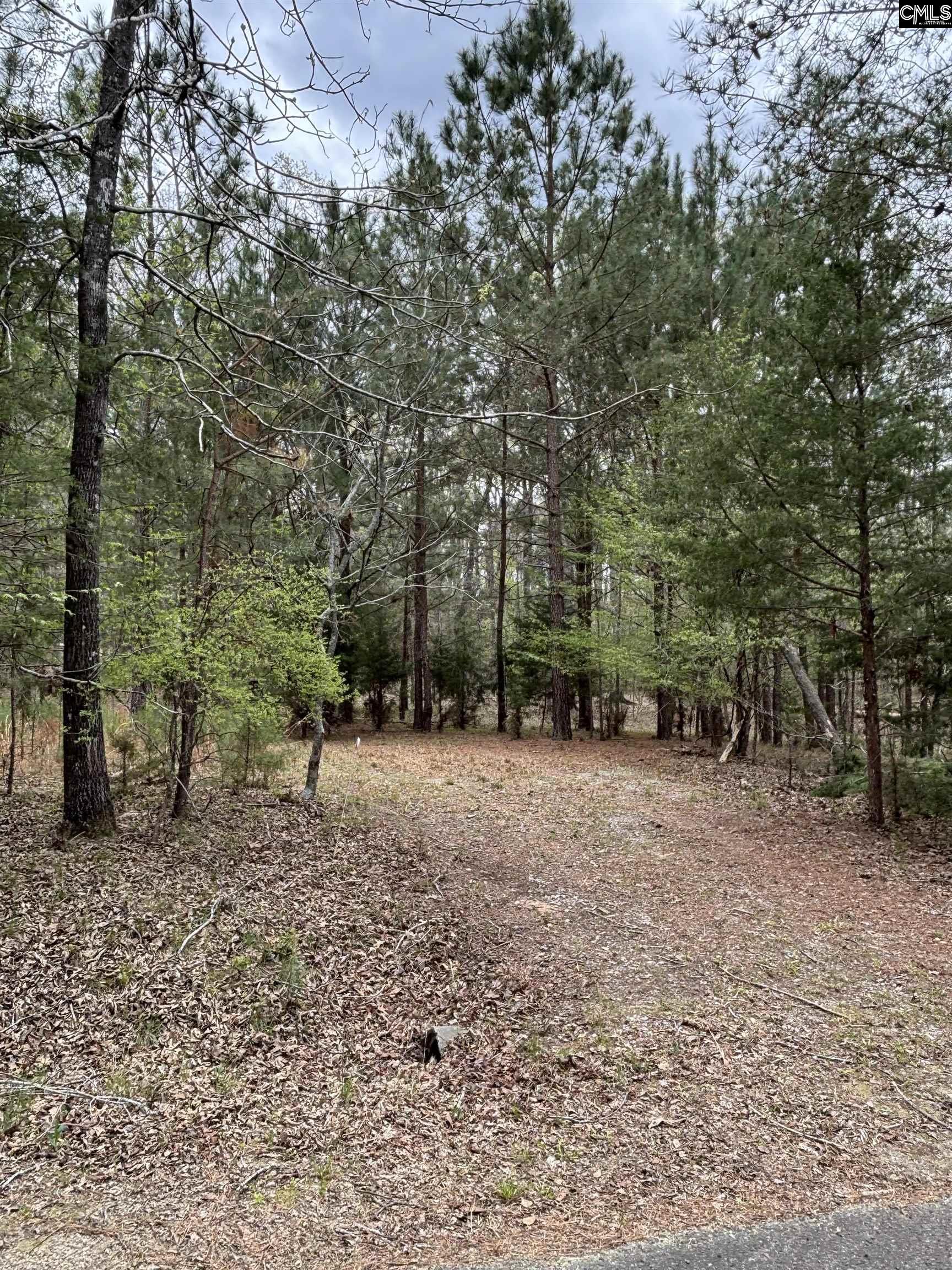 231 Tortoise Trail, Batesburg, South Carolina image 6