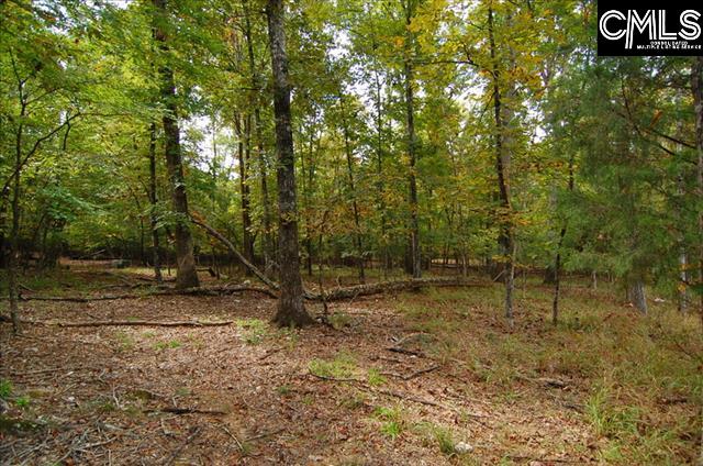 231 Tortoise Trail, Batesburg, South Carolina image 7