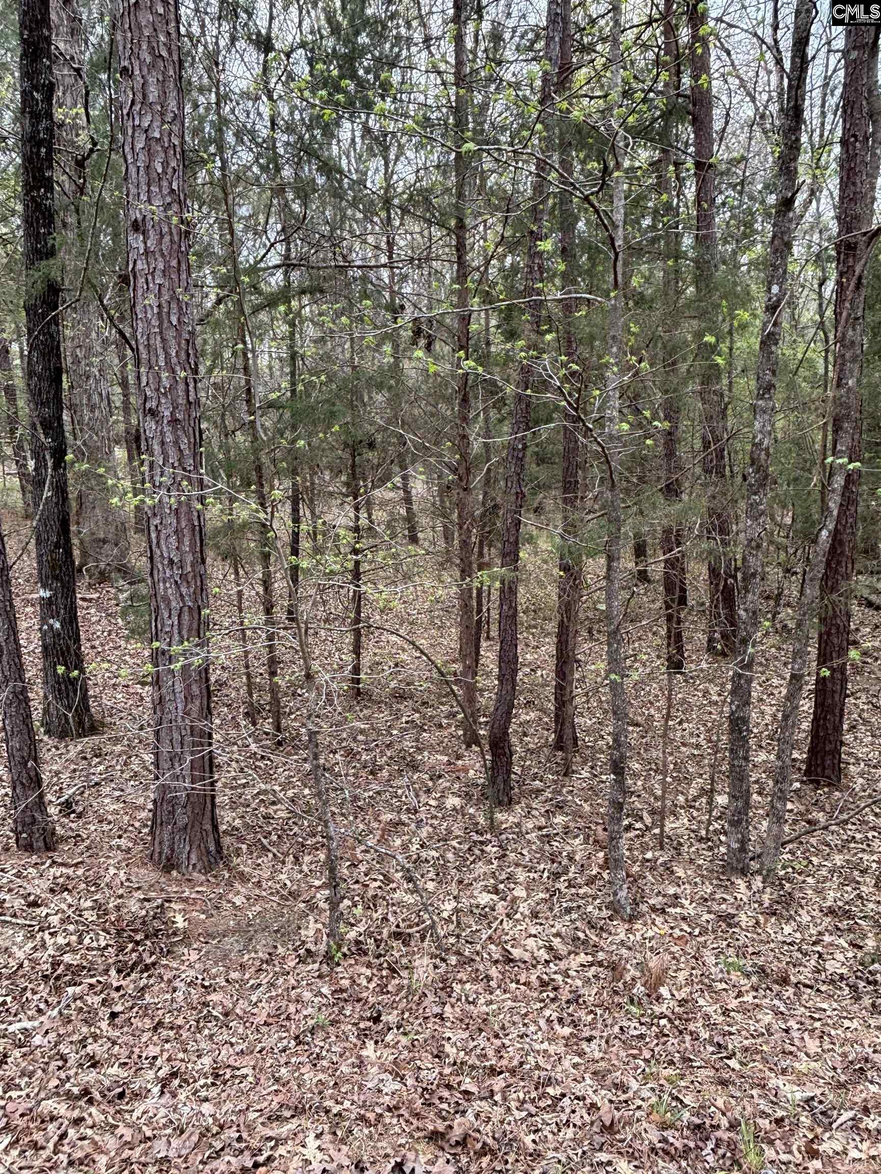 231 Tortoise Trail, Batesburg, South Carolina image 8