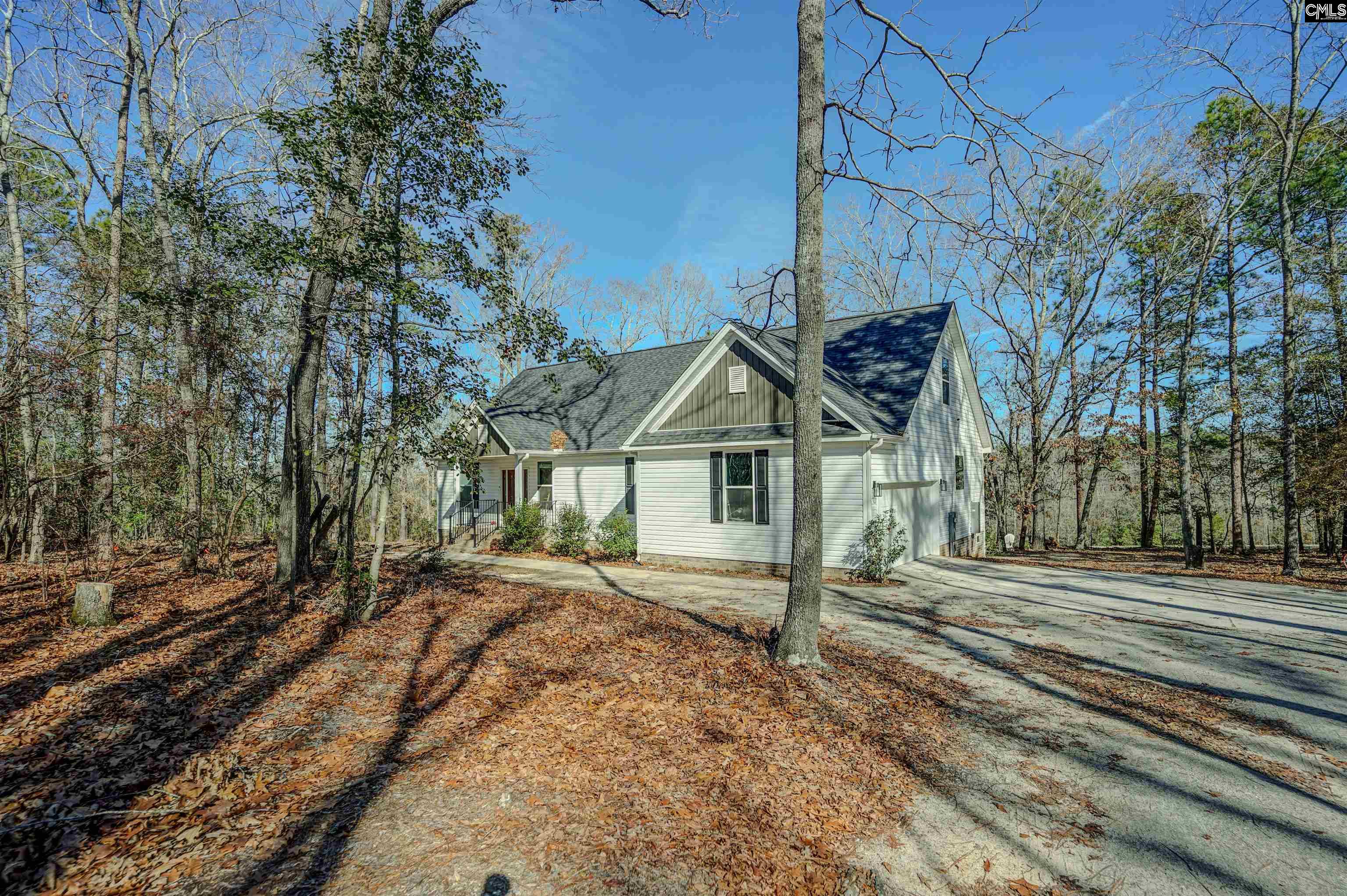 9110 Columbia Road, Swansea, South Carolina image 1