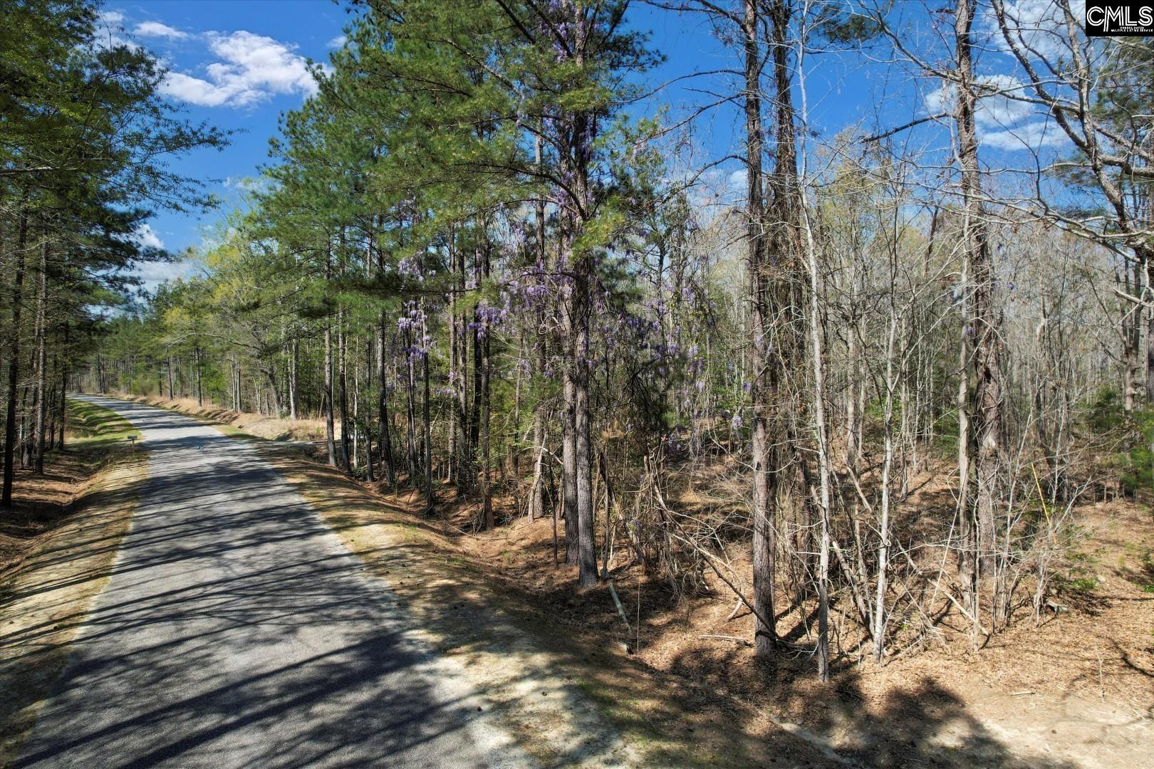573 Qualls Road, Ridgeway, South Carolina image 2