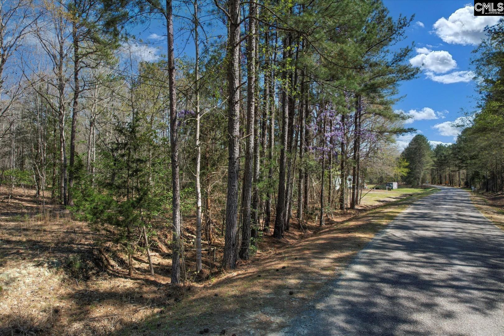 573 Qualls Road, Ridgeway, South Carolina image 3