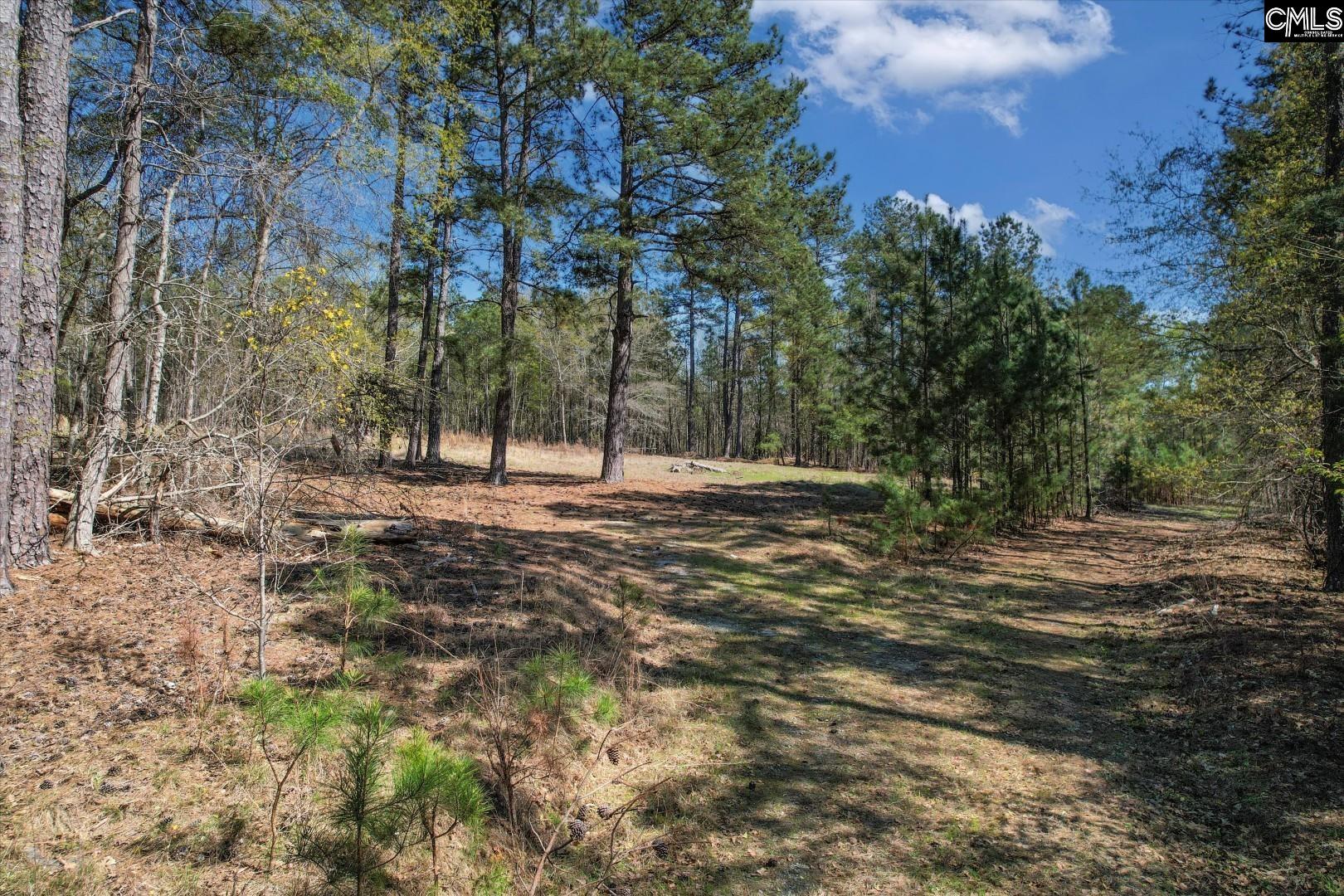 573 Qualls Road, Ridgeway, South Carolina image 6