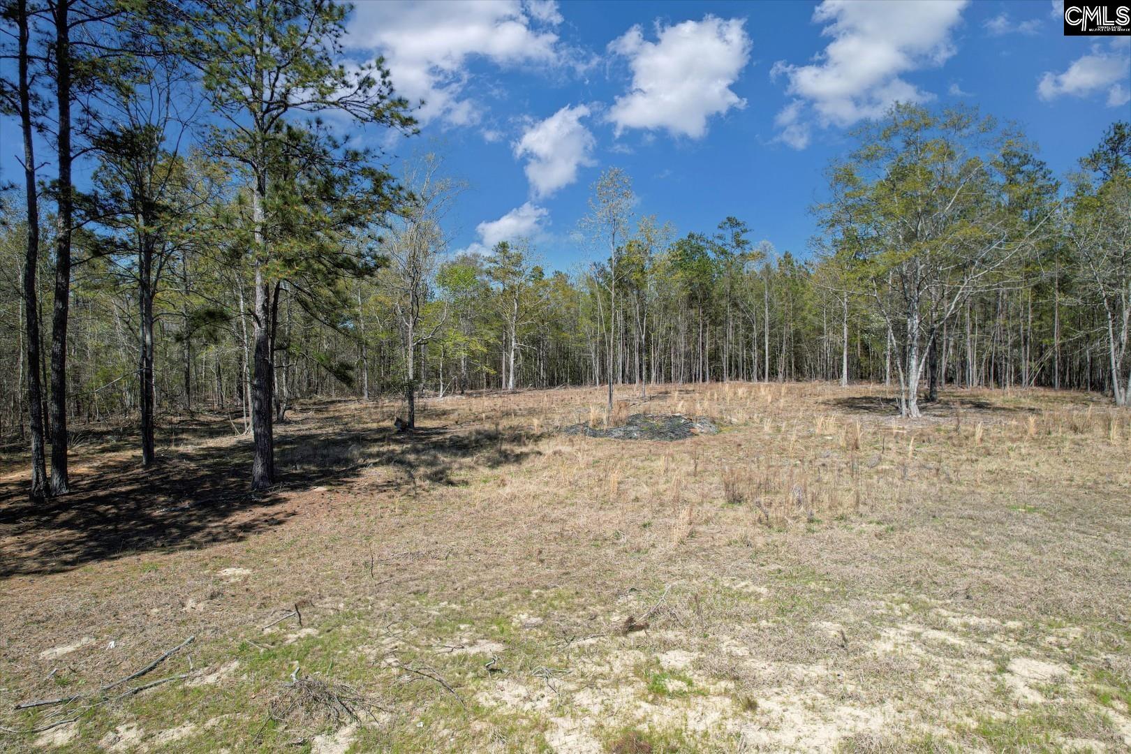 573 Qualls Road, Ridgeway, South Carolina image 7