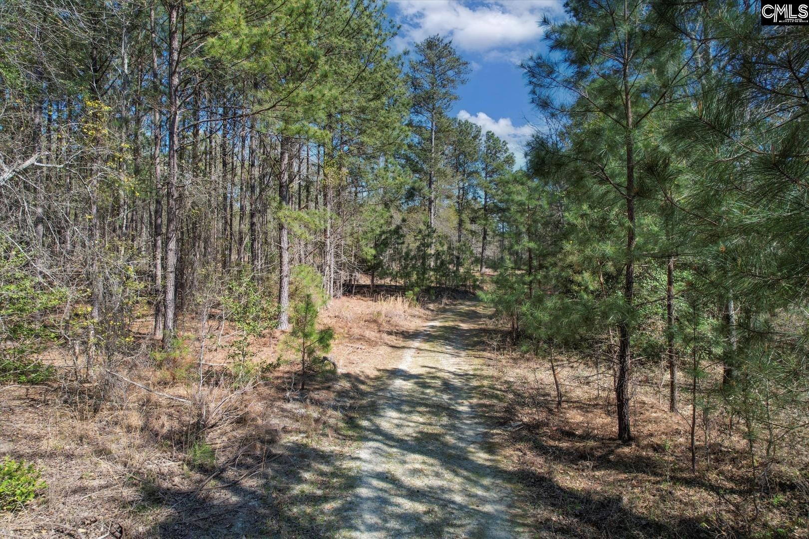 573 Qualls Road, Ridgeway, South Carolina image 8