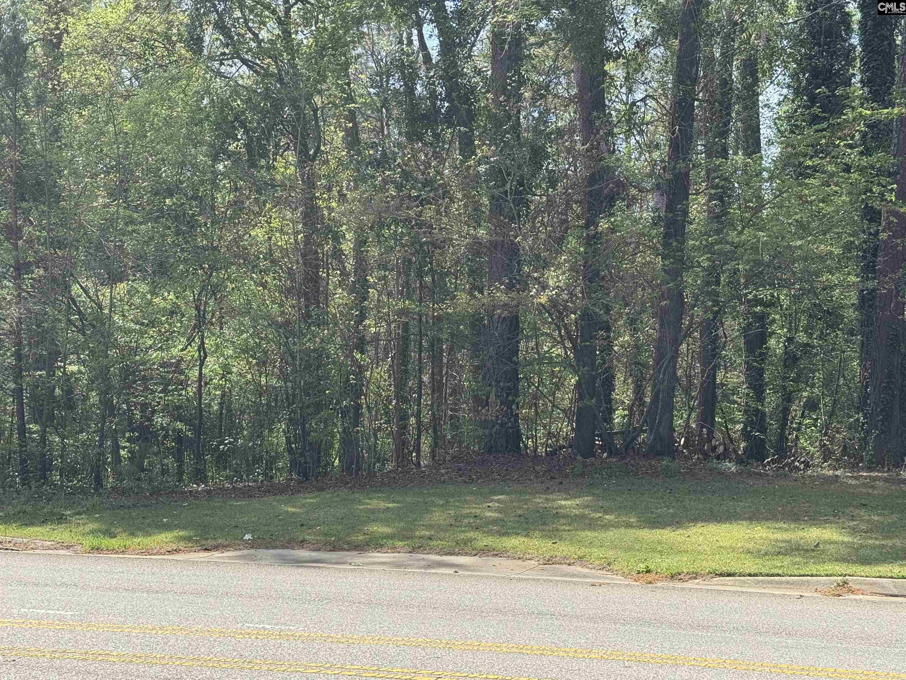 231 Piney Grove Road Columbia, SC 29210