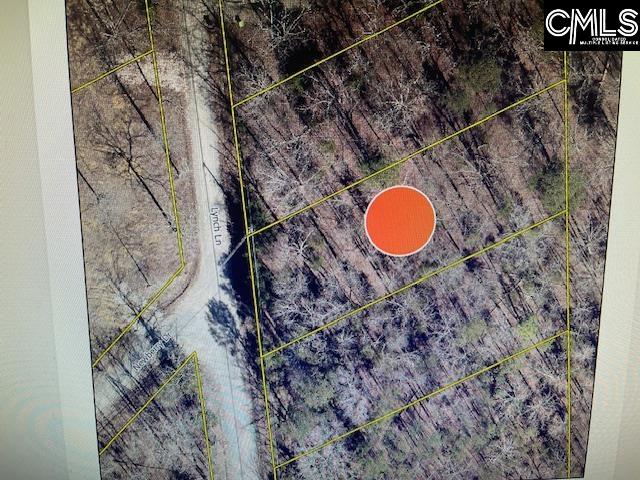 124a Lynch Lane, Chapin, South Carolina image 2