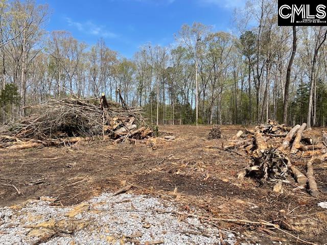 124a Lynch Lane, Chapin, South Carolina image 3