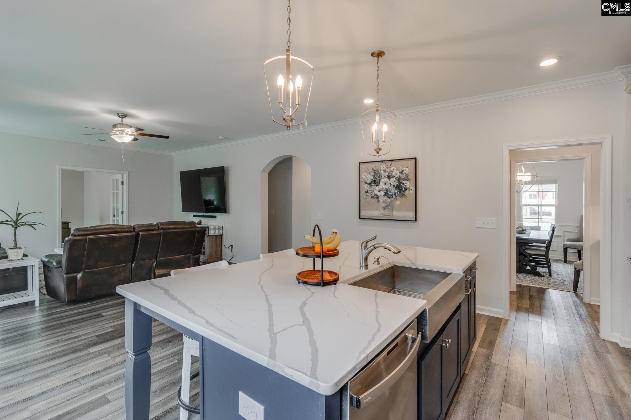822 Ruskin Drive Chapin, SC 29036