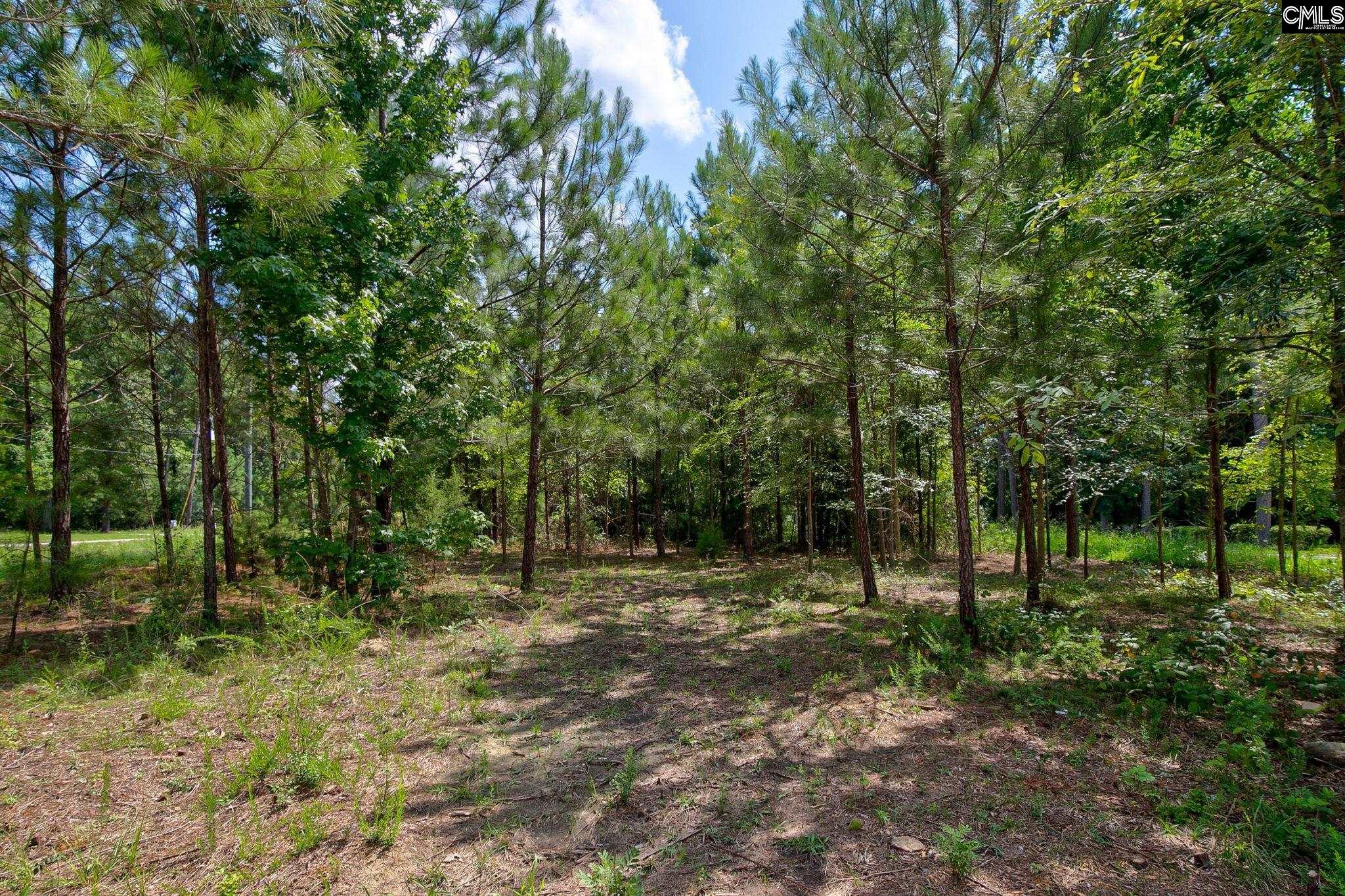 110 Lakeside Drive, Chapin, South Carolina image 35