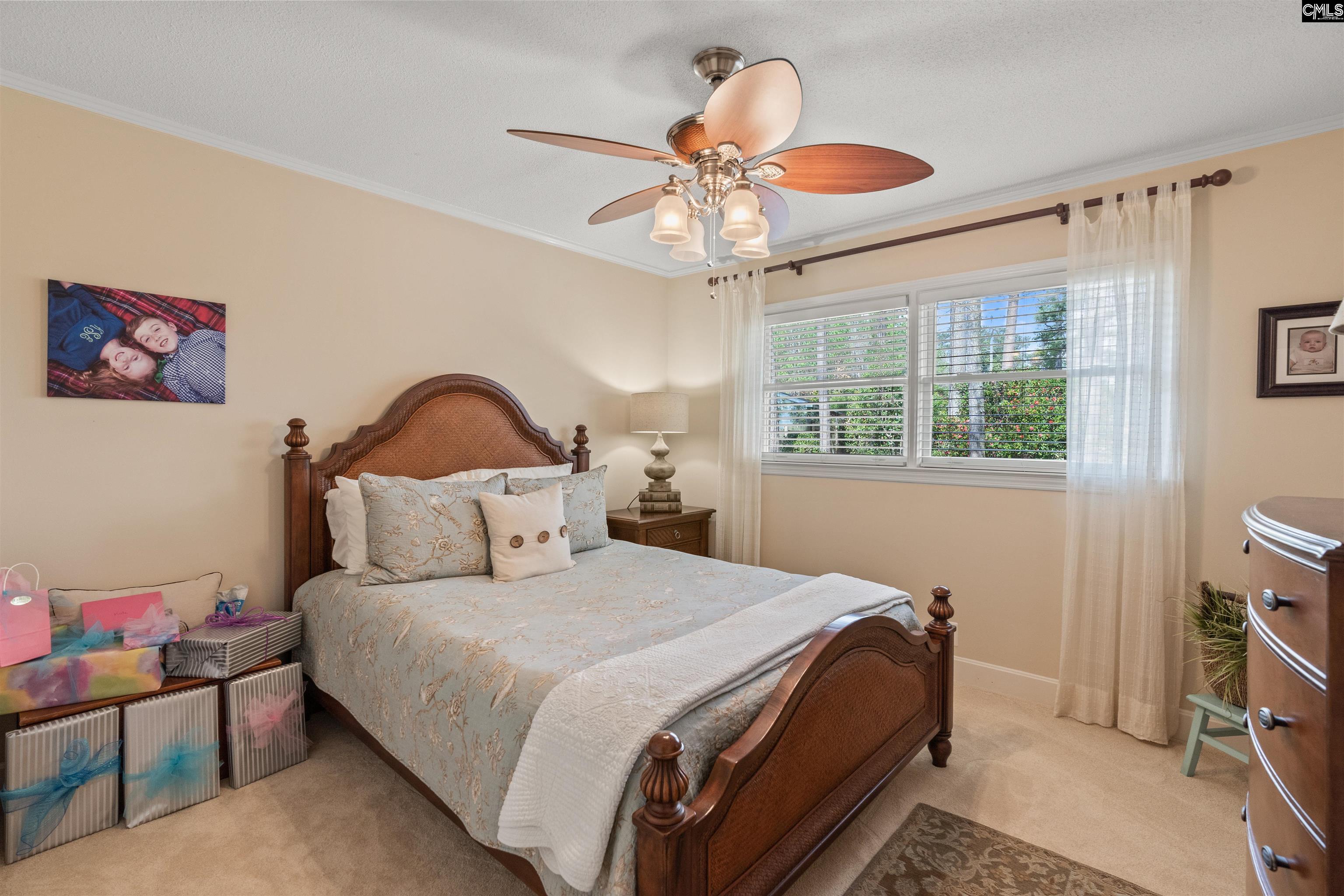 13 East Drive, Chapin, South Carolina image 35