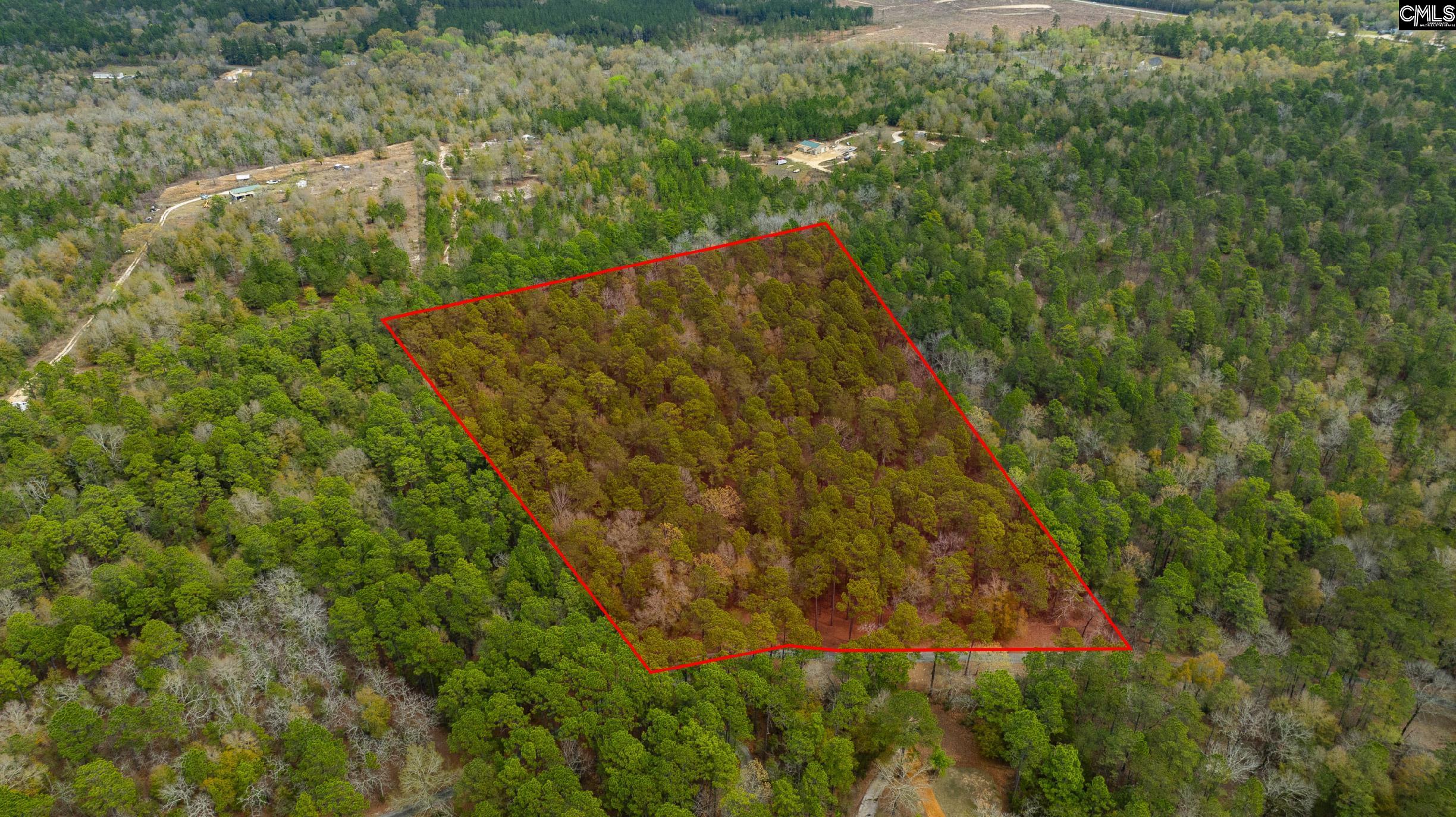 Edisto Lake Road, Wagener, South Carolina image 1