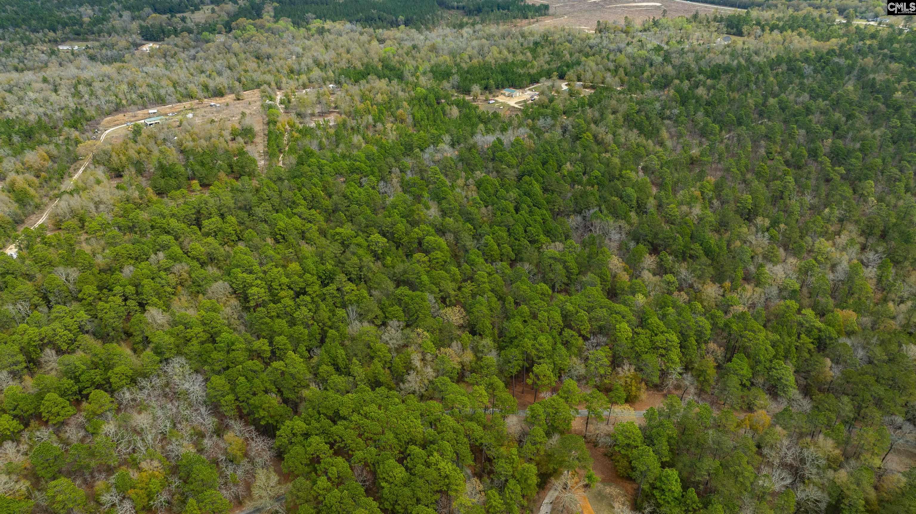 Edisto Lake Road, Wagener, South Carolina image 2