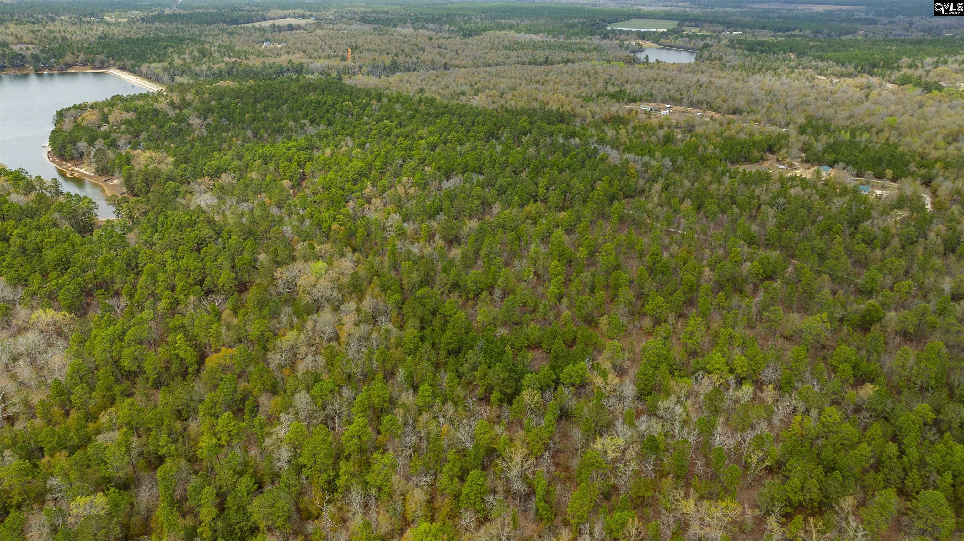 Edisto Lake Road, Wagener, South Carolina image 11