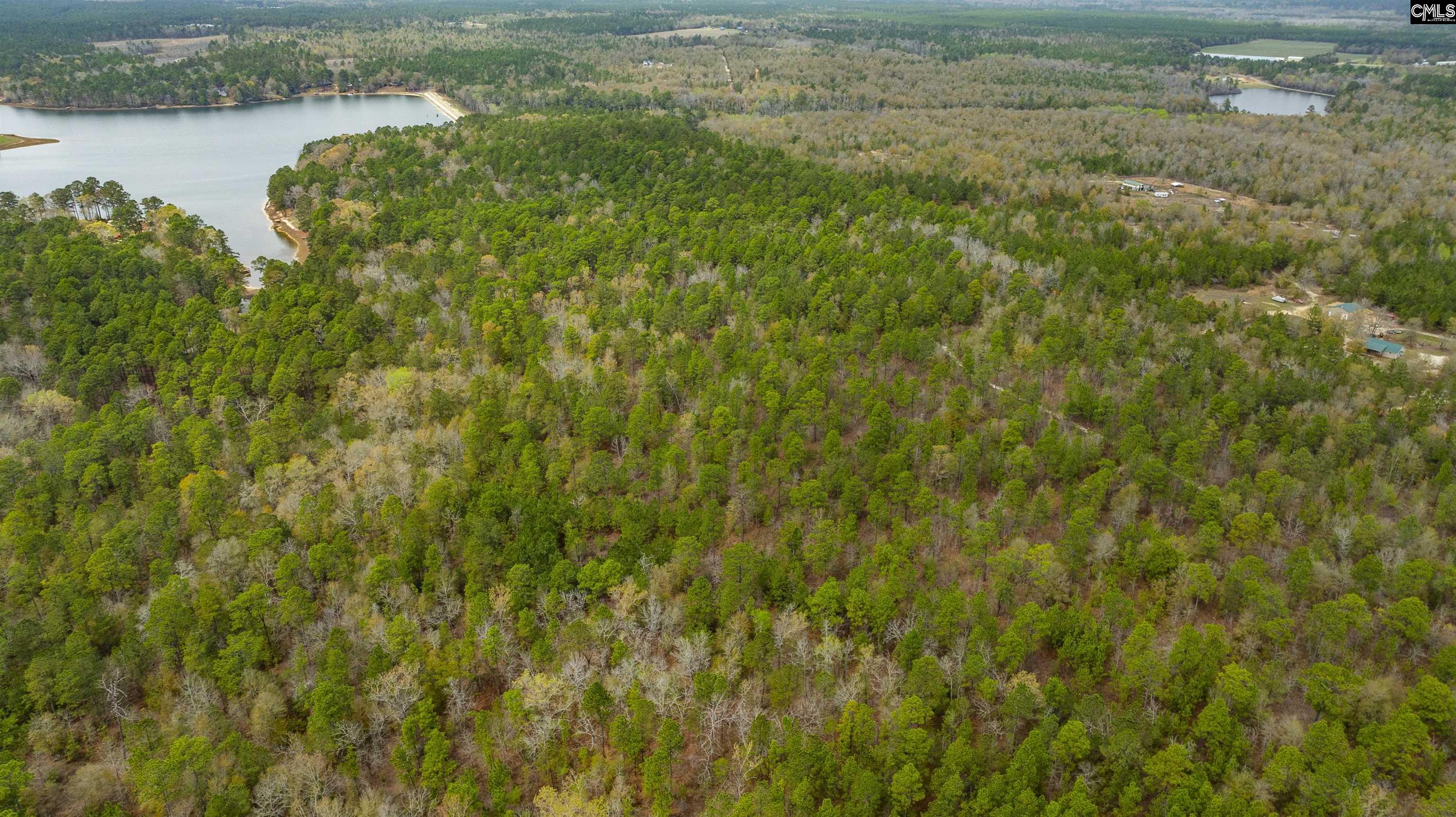 Edisto Lake Road, Wagener, South Carolina image 12