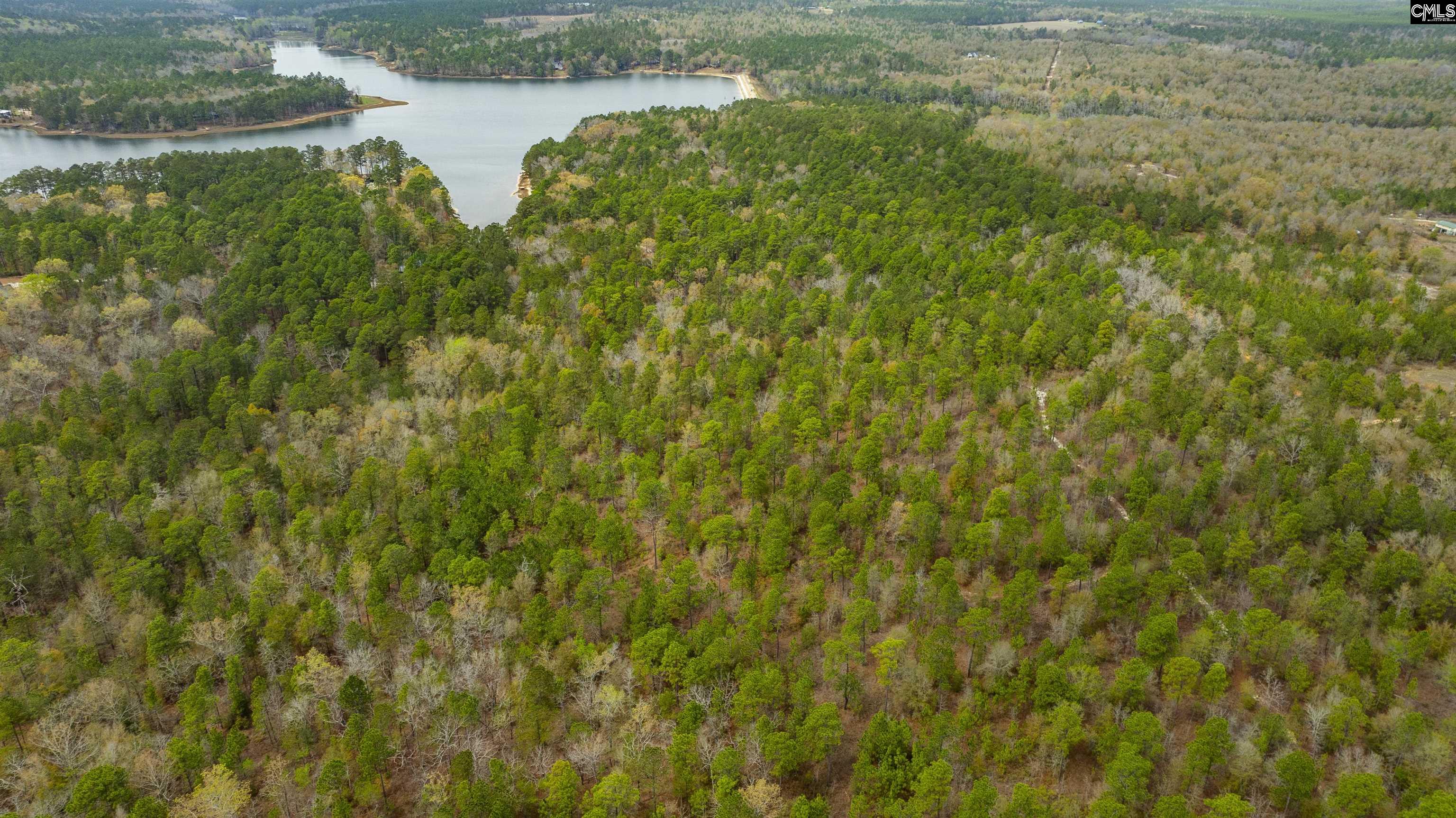 Edisto Lake Road, Wagener, South Carolina image 13
