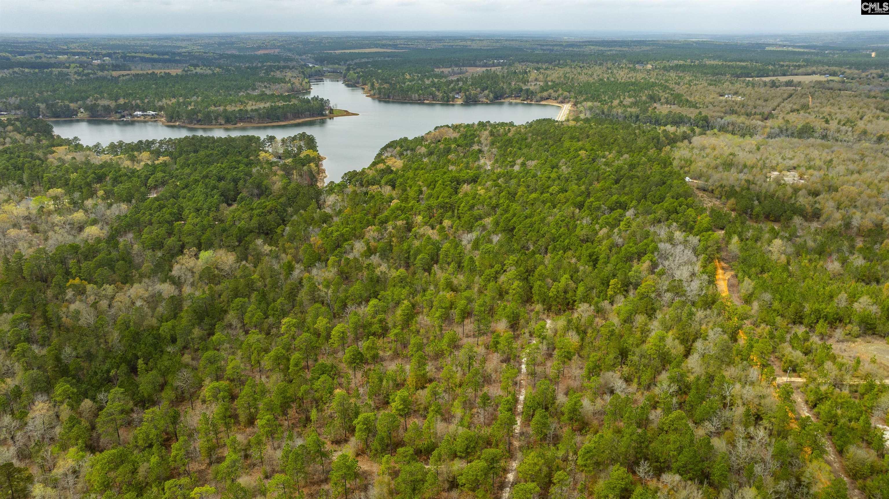 Edisto Lake Road, Wagener, South Carolina image 14