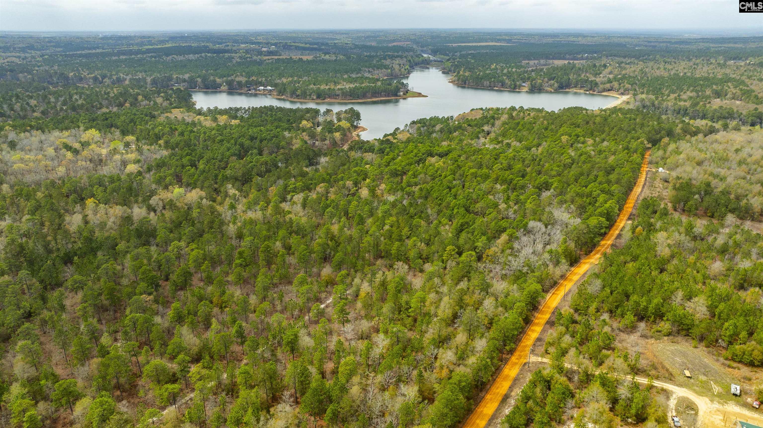 Edisto Lake Road, Wagener, South Carolina image 16