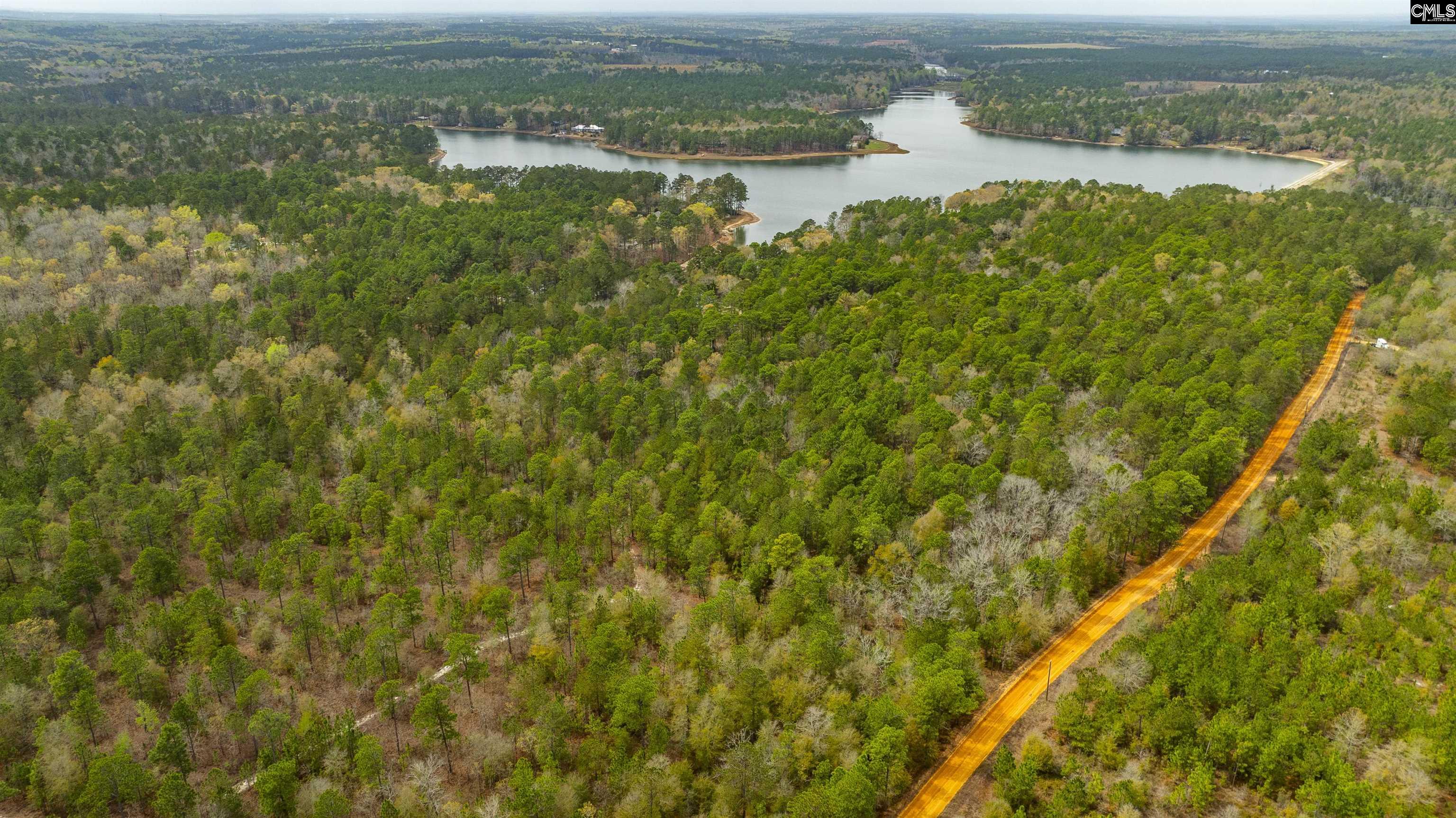 Edisto Lake Road, Wagener, South Carolina image 17