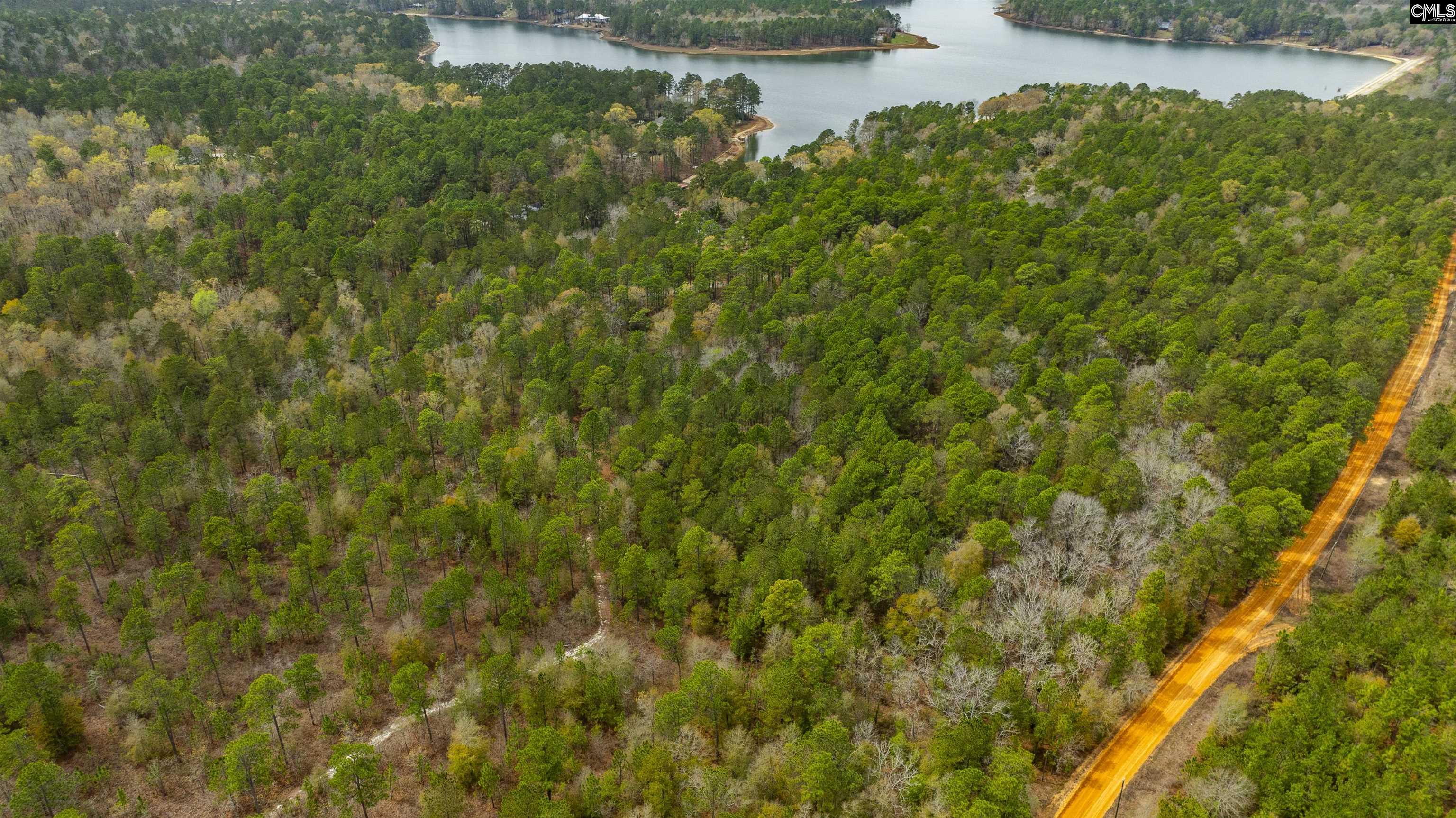 Edisto Lake Road, Wagener, South Carolina image 18