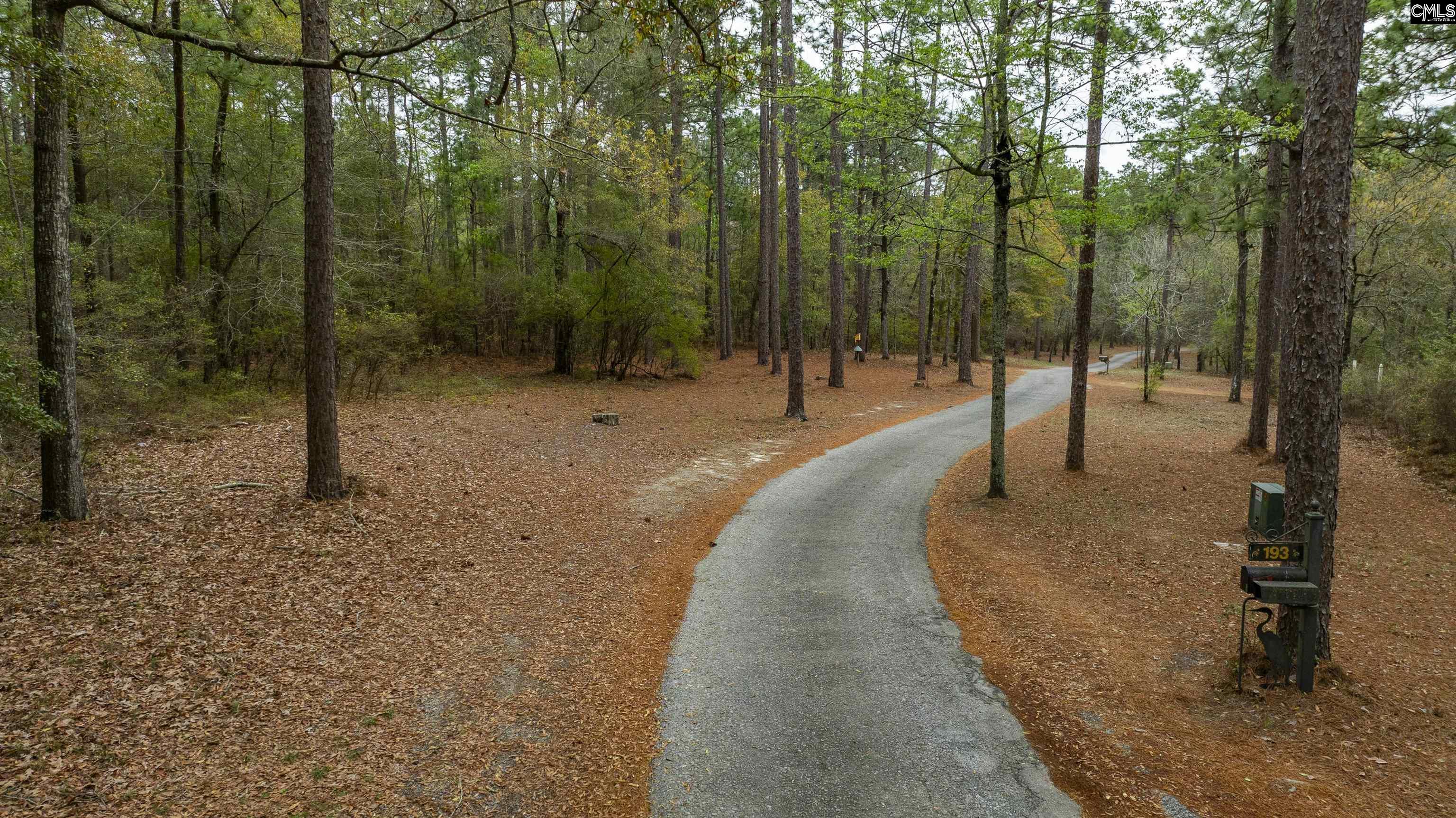 Edisto Lake Road, Wagener, South Carolina image 20