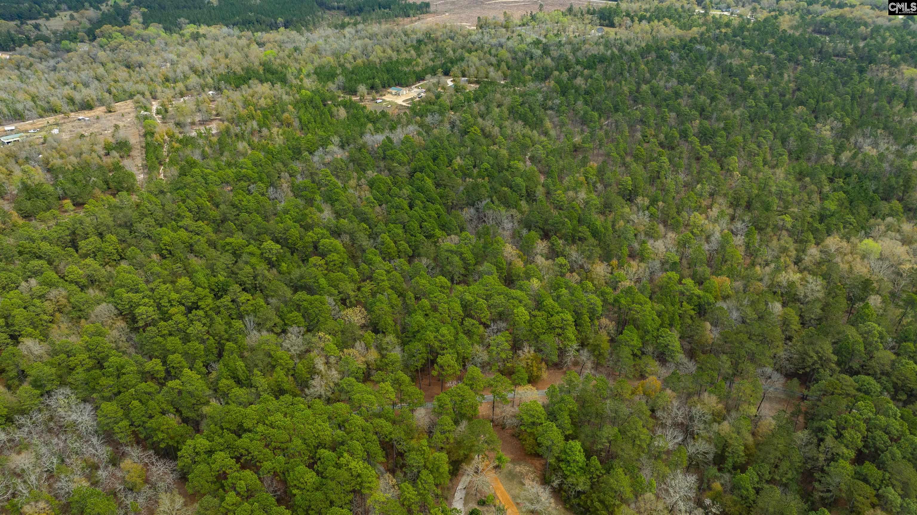 Edisto Lake Road, Wagener, South Carolina image 3