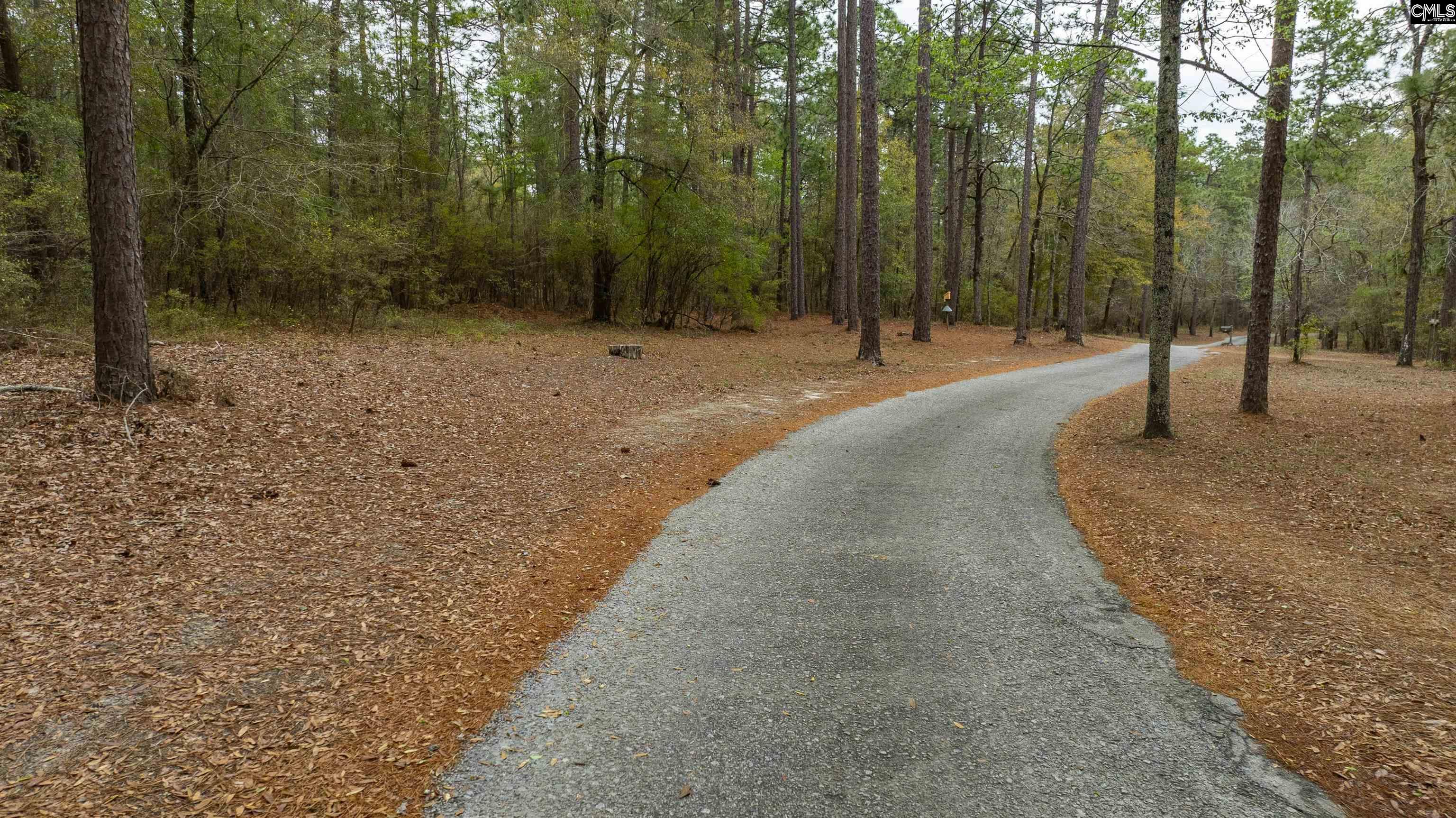 Edisto Lake Road, Wagener, South Carolina image 22