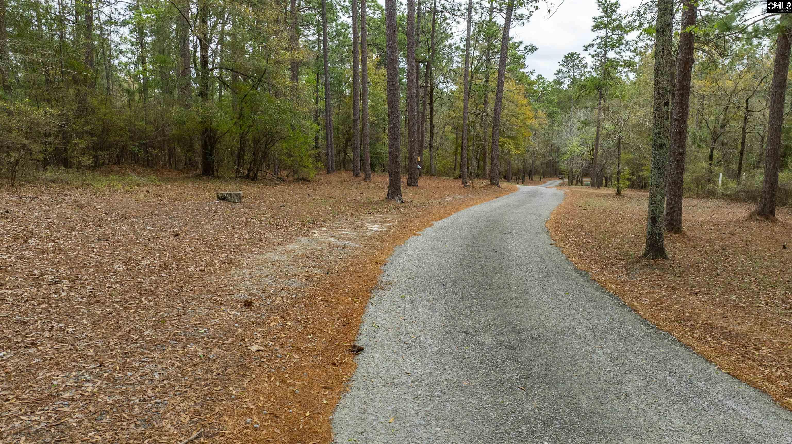 Edisto Lake Road, Wagener, South Carolina image 23
