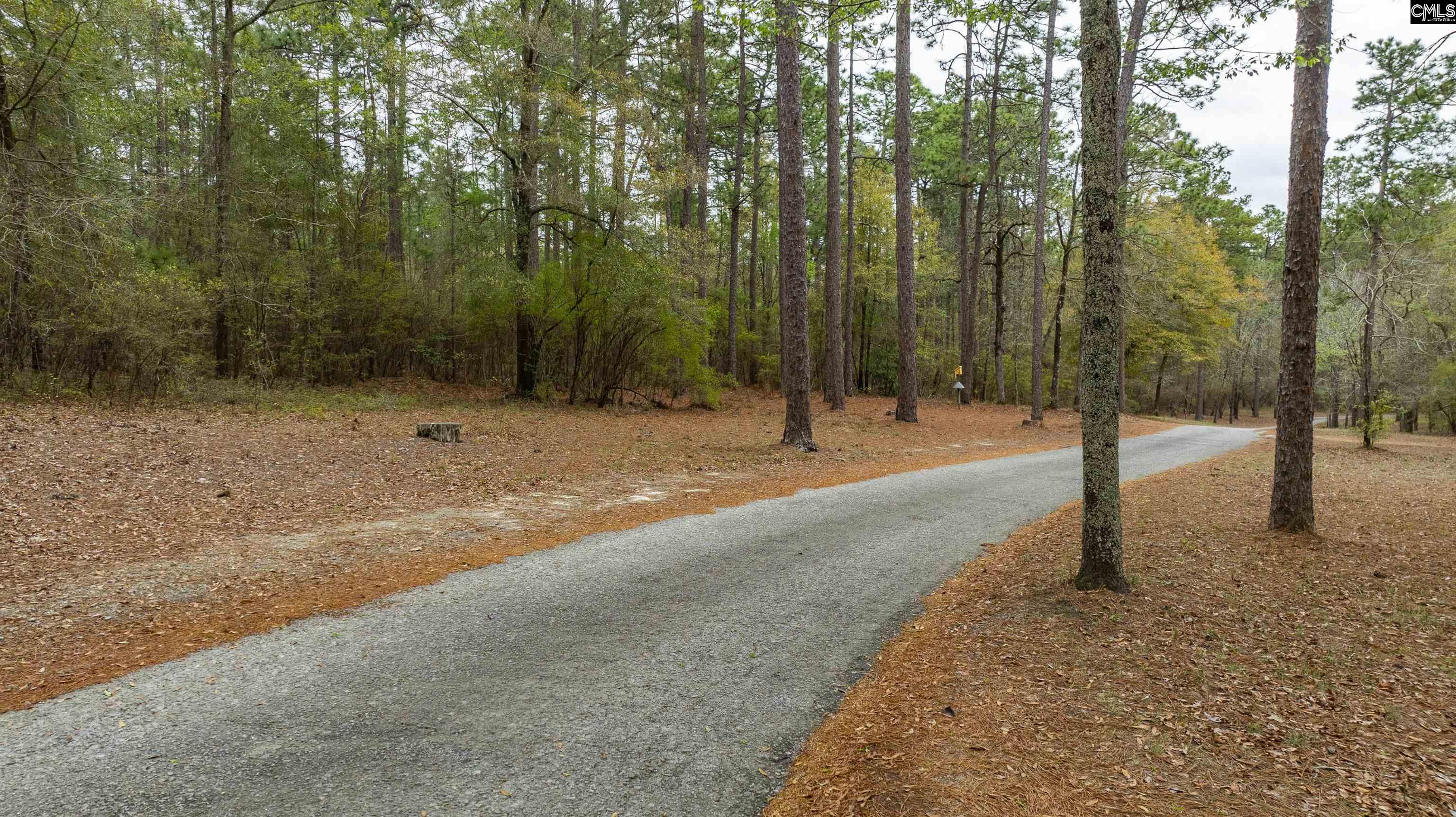 Edisto Lake Road, Wagener, South Carolina image 24