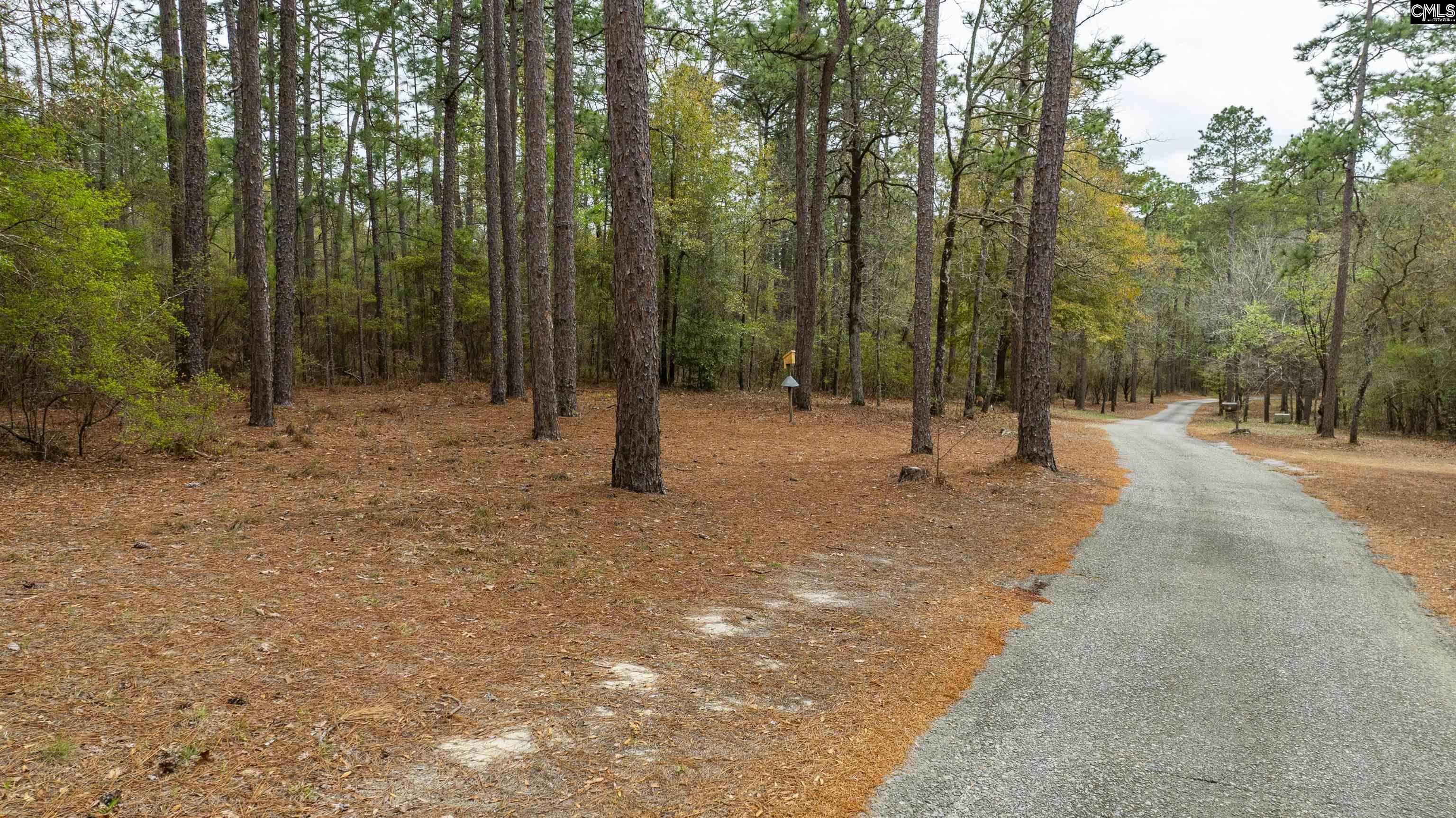 Edisto Lake Road, Wagener, South Carolina image 25