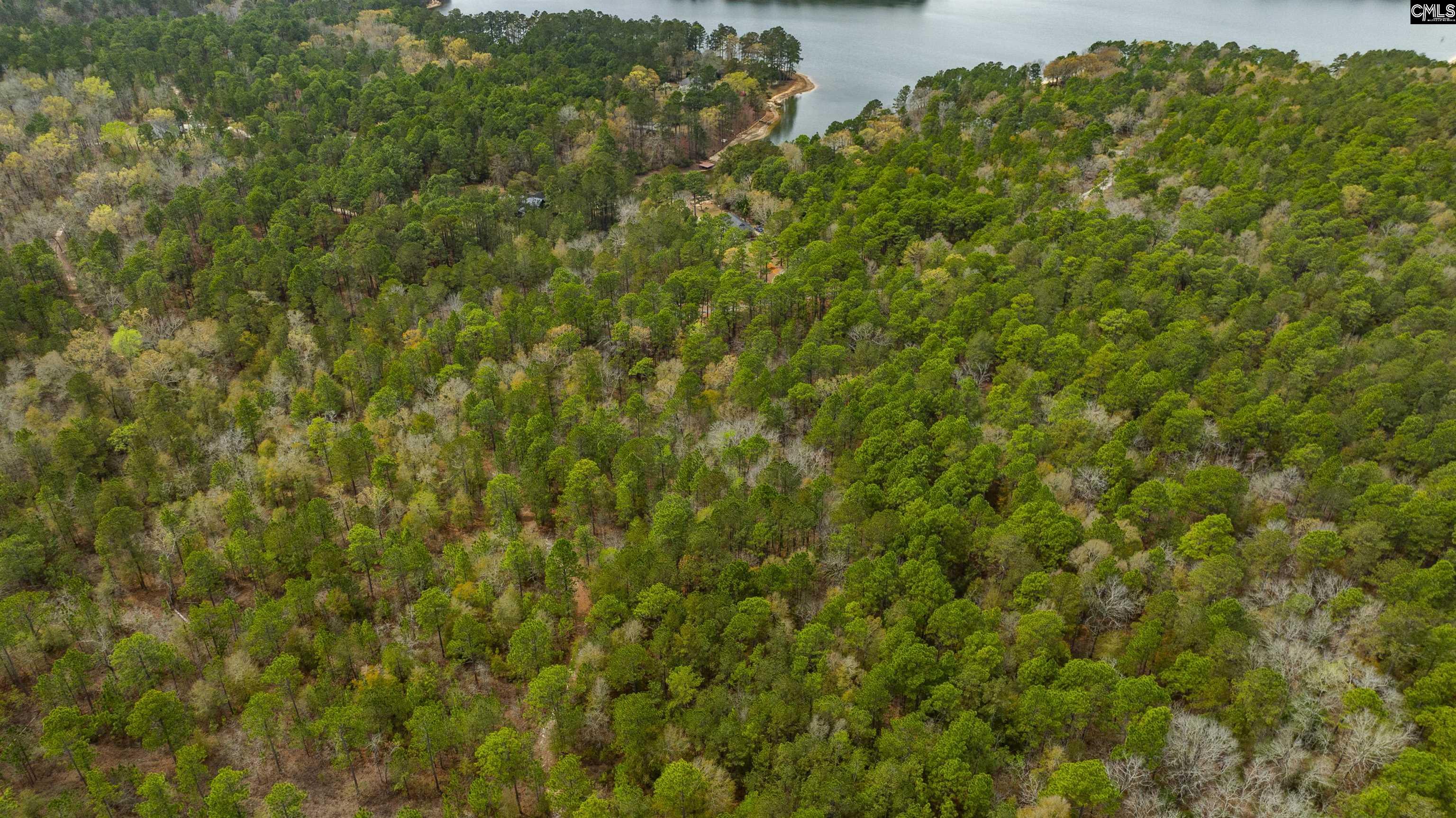 Edisto Lake Road, Wagener, South Carolina image 26