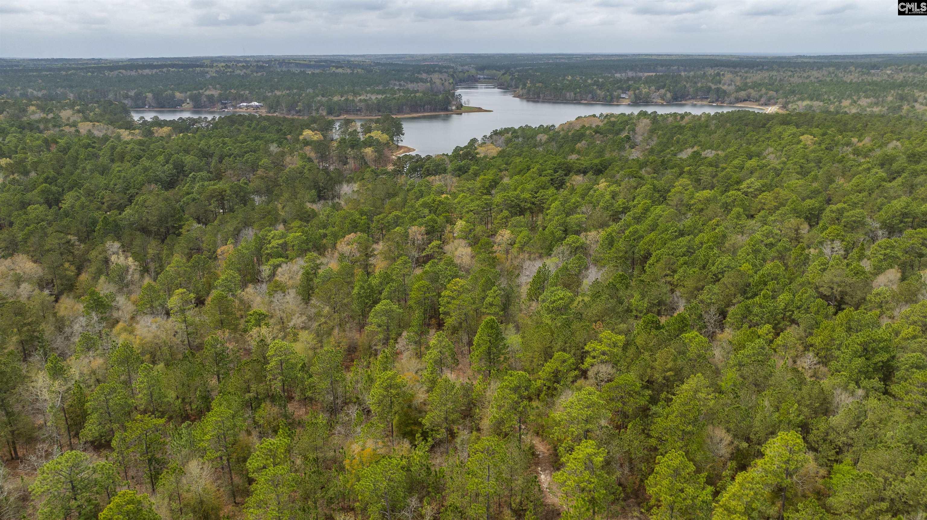 Edisto Lake Road, Wagener, South Carolina image 28
