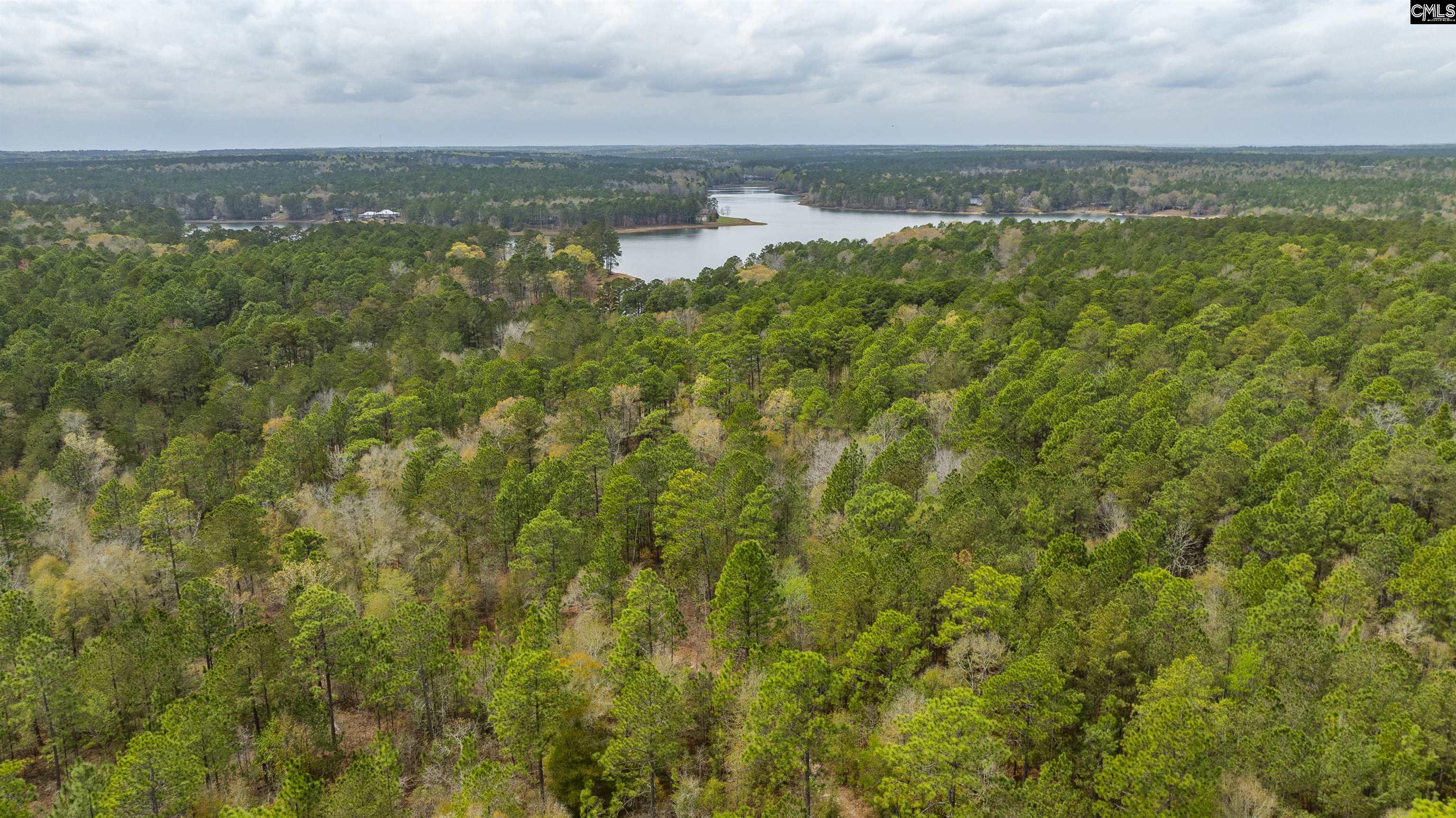 Edisto Lake Road, Wagener, South Carolina image 29