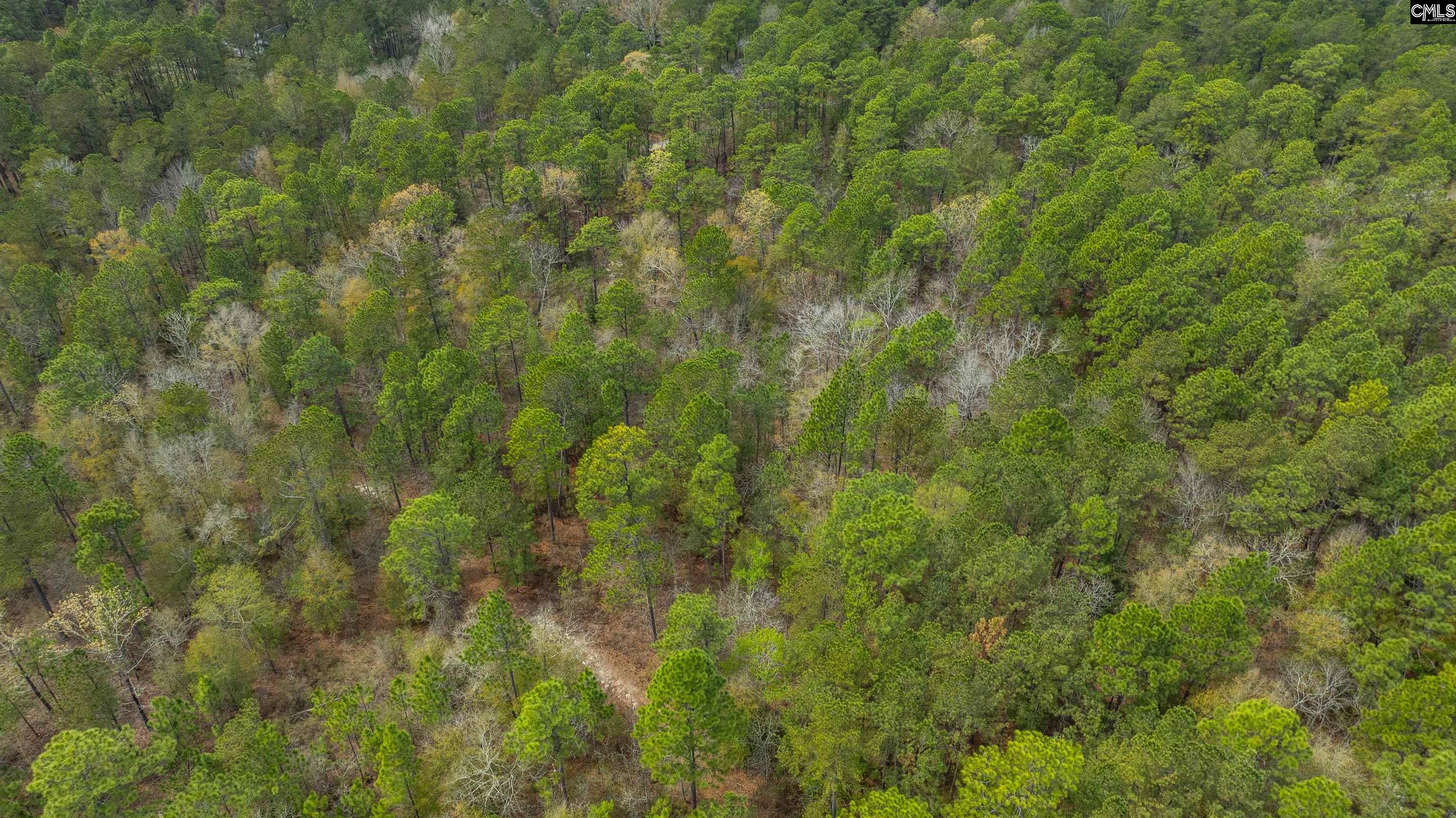 Edisto Lake Road, Wagener, South Carolina image 30