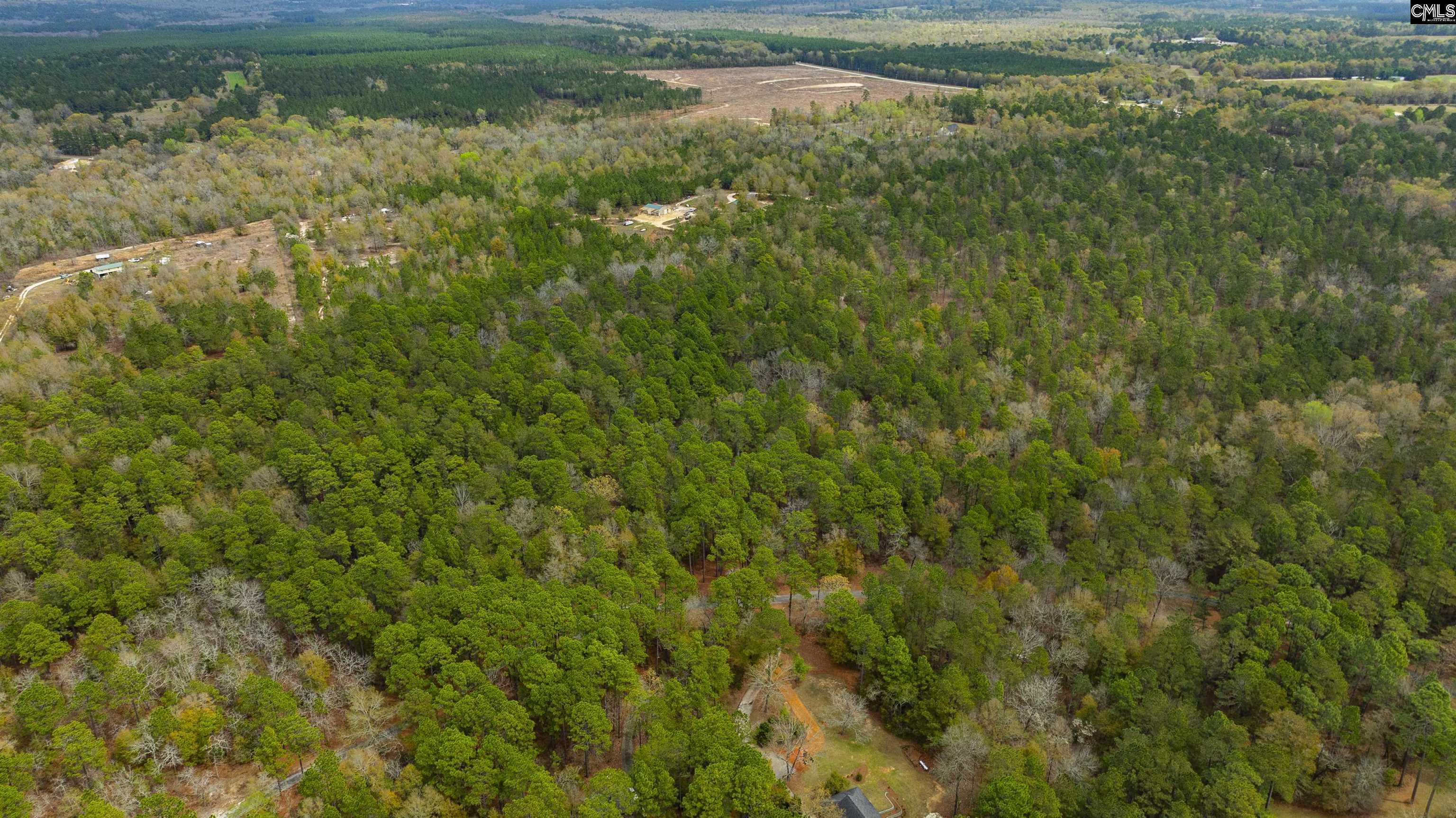 Edisto Lake Road, Wagener, South Carolina image 4