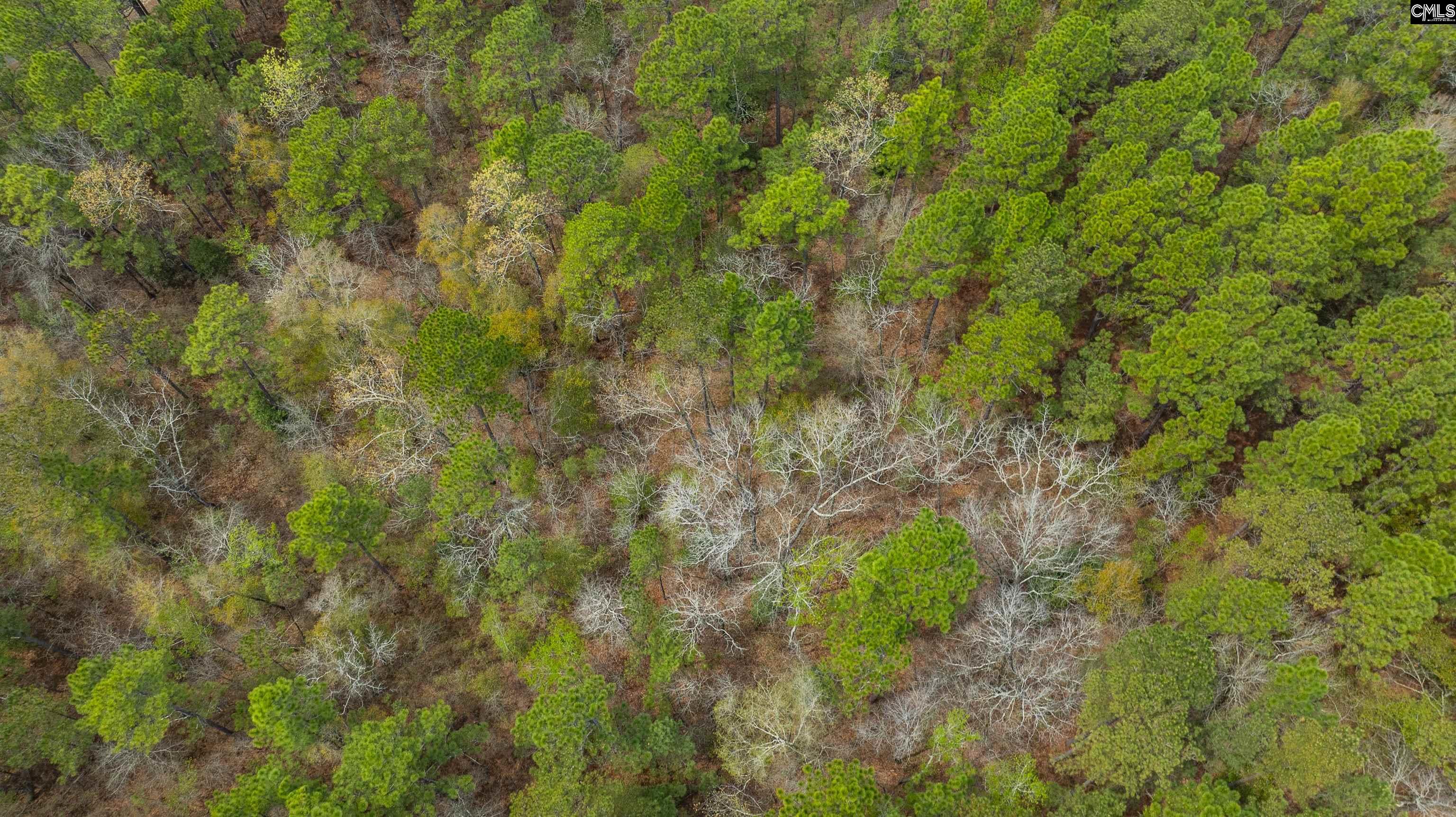 Edisto Lake Road, Wagener, South Carolina image 31
