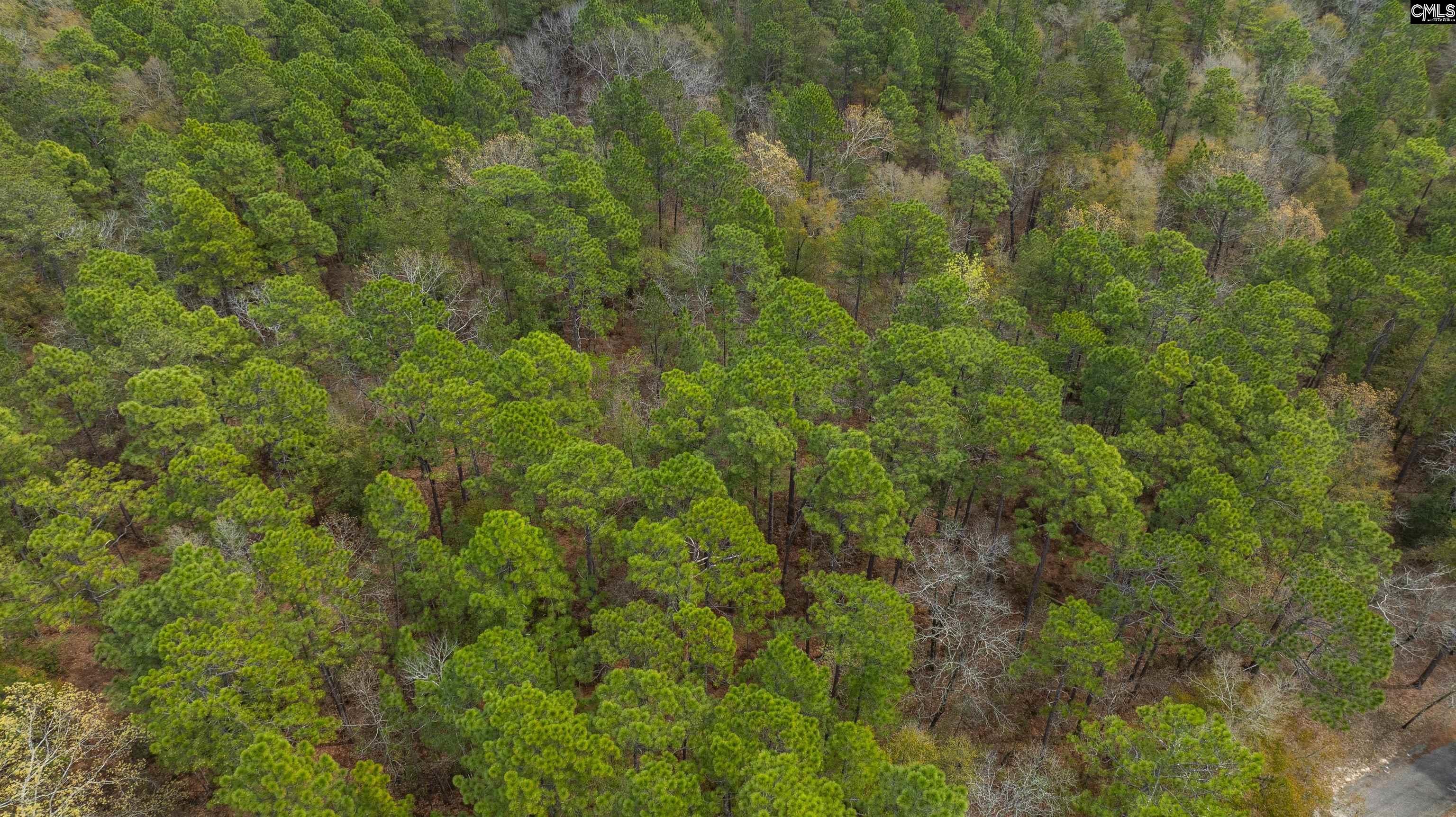 Edisto Lake Road, Wagener, South Carolina image 33