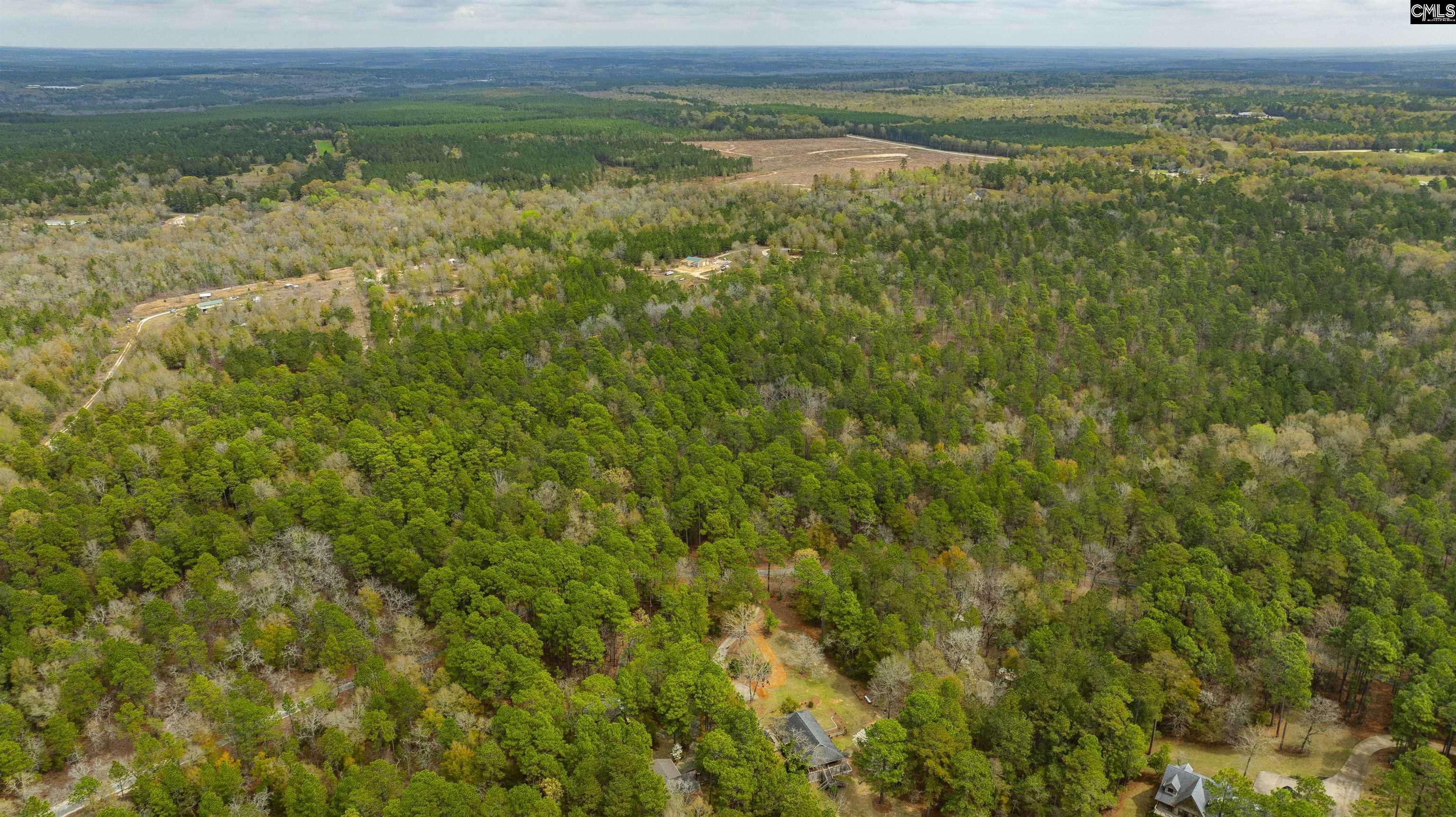 Edisto Lake Road, Wagener, South Carolina image 5