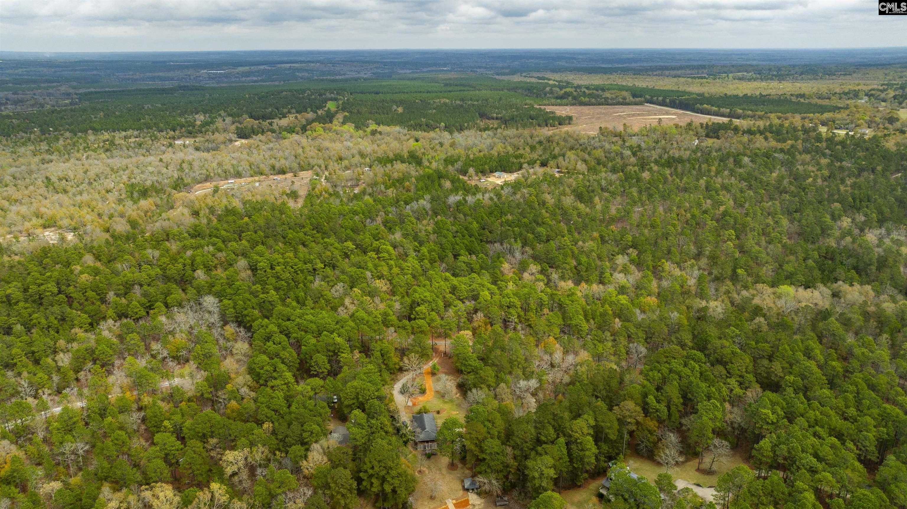 Edisto Lake Road, Wagener, South Carolina image 6
