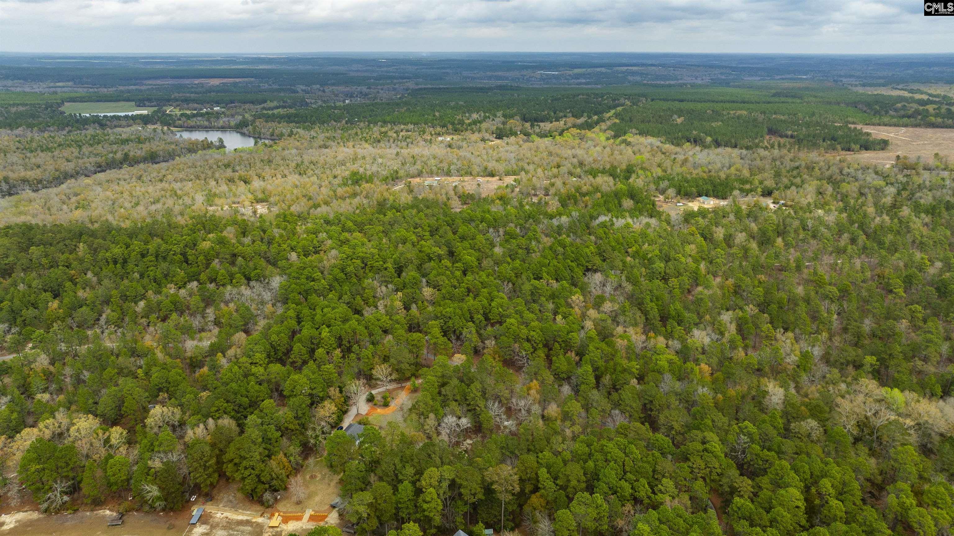 Edisto Lake Road, Wagener, South Carolina image 7