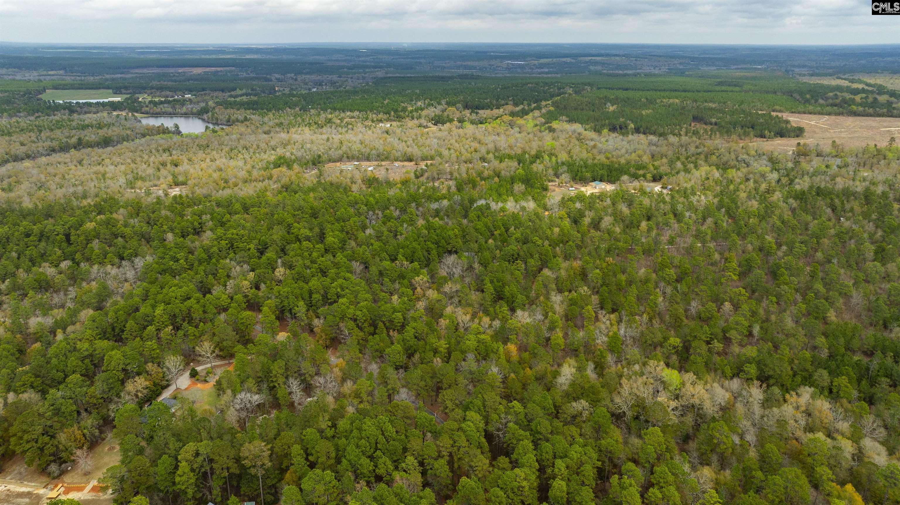 Edisto Lake Road, Wagener, South Carolina image 8