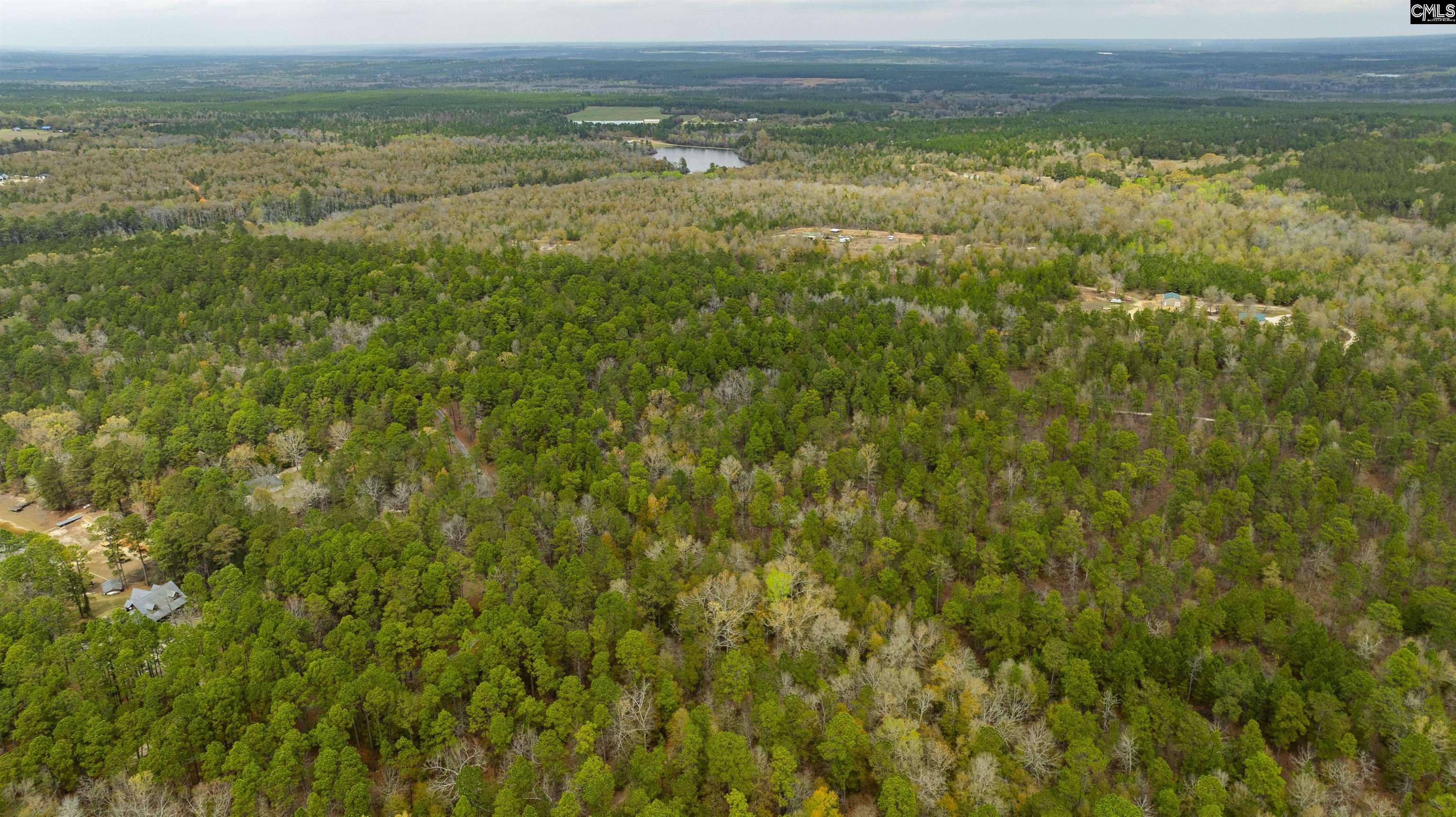 Edisto Lake Road, Wagener, South Carolina image 9
