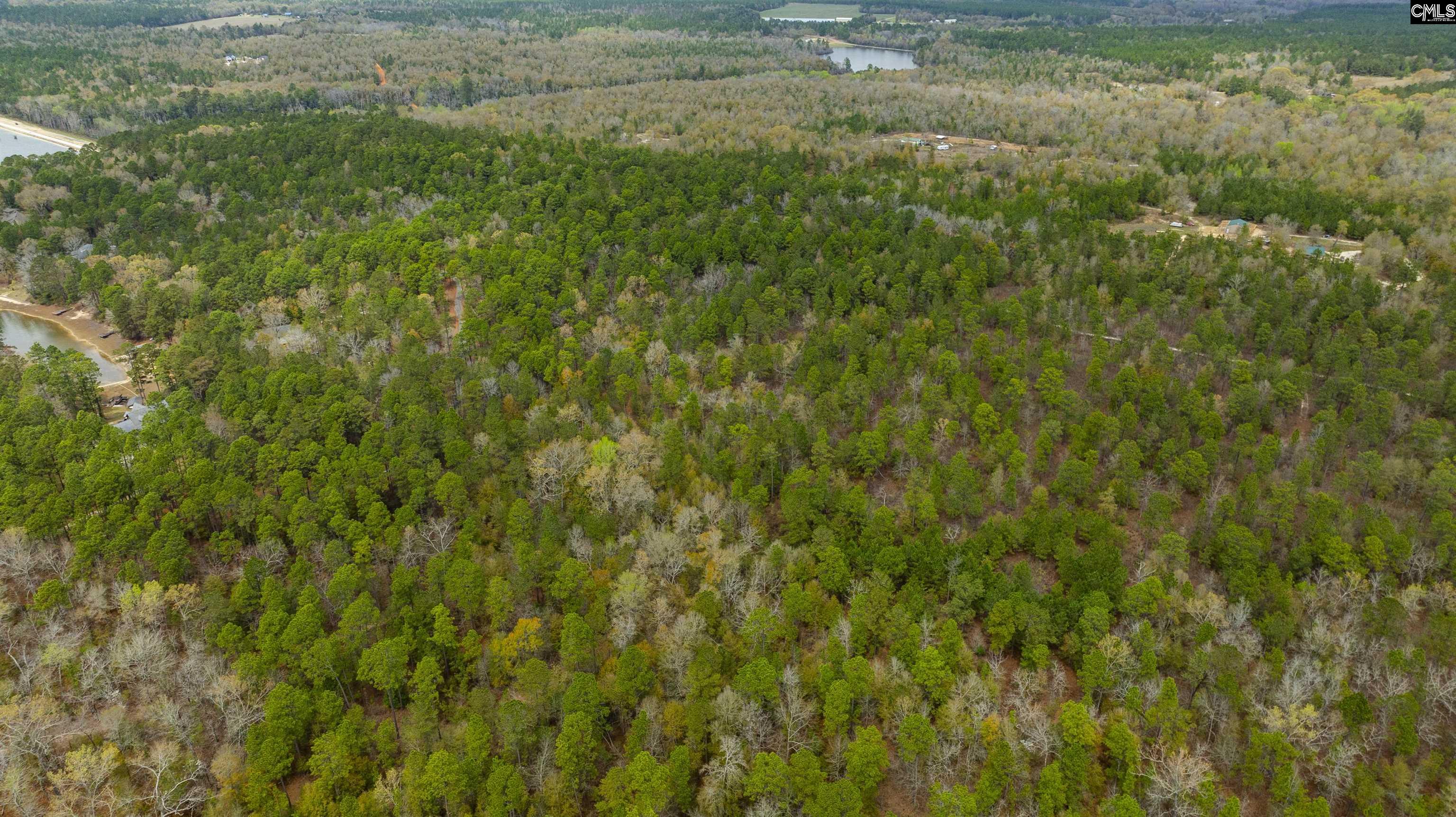 Edisto Lake Road, Wagener, South Carolina image 10