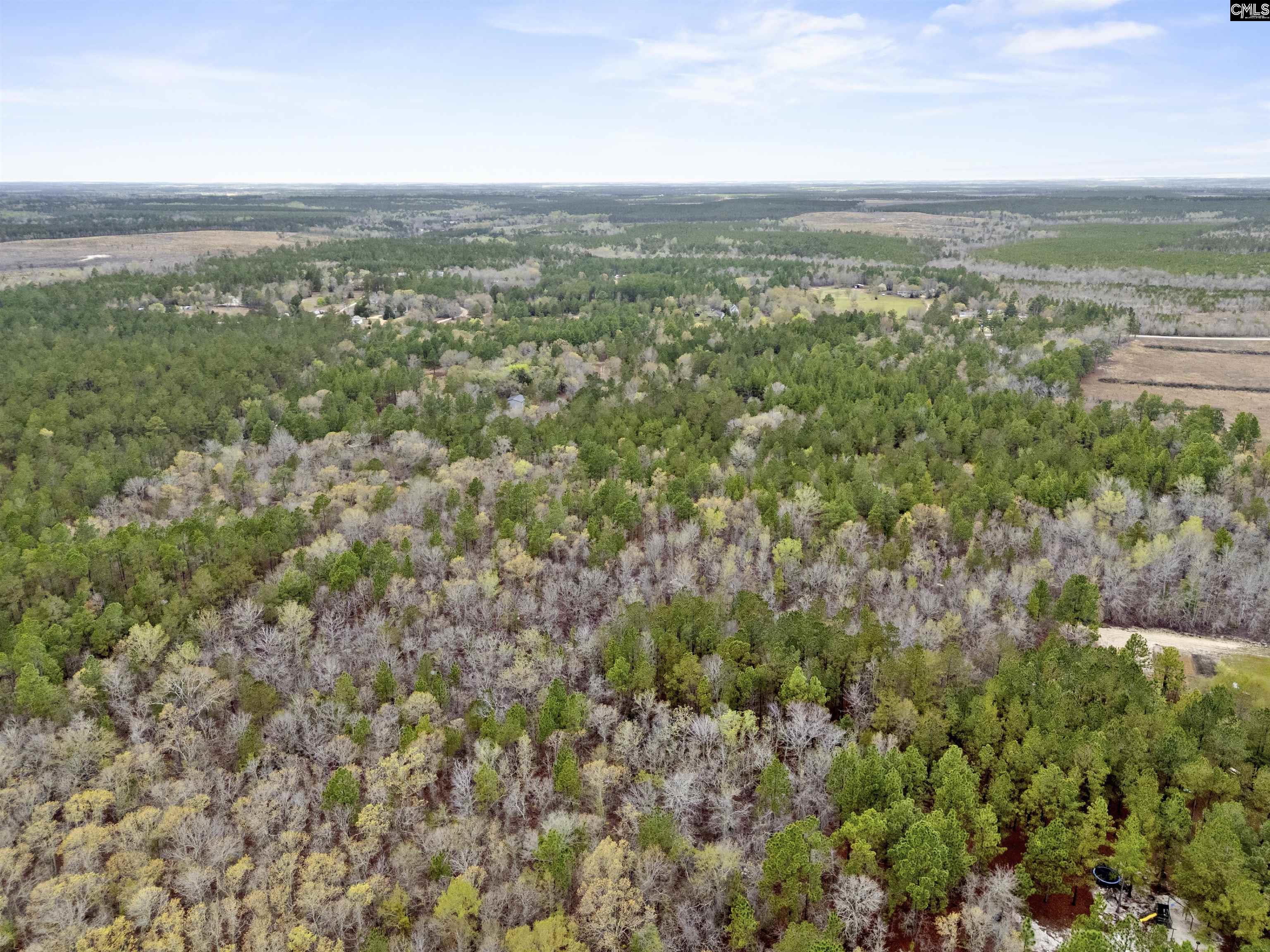 1409 Robinson Town Road, Cassatt, South Carolina image 16