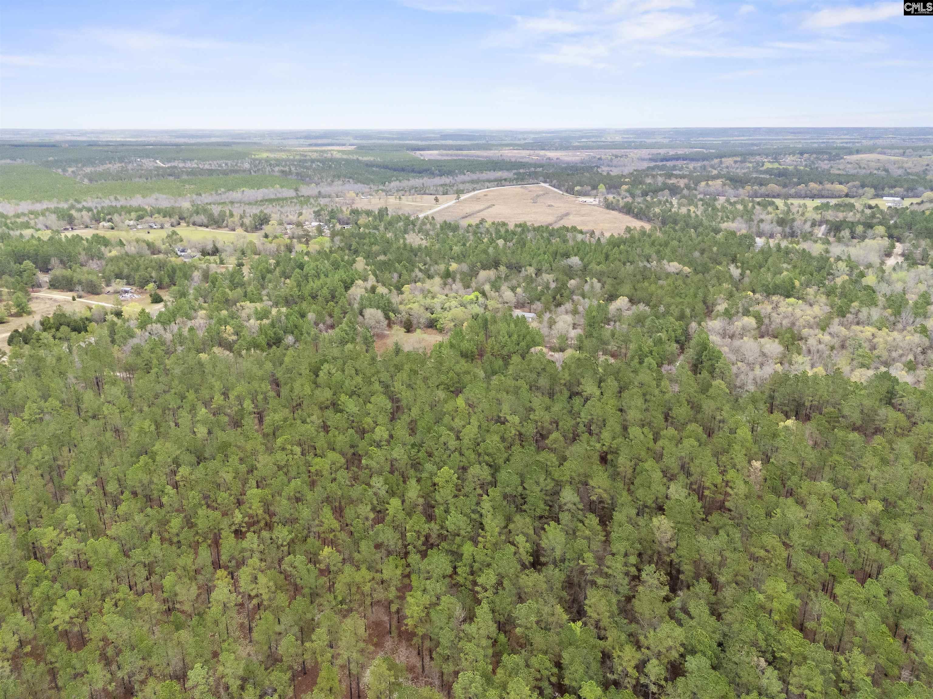 1409 Robinson Town Road, Cassatt, South Carolina image 17