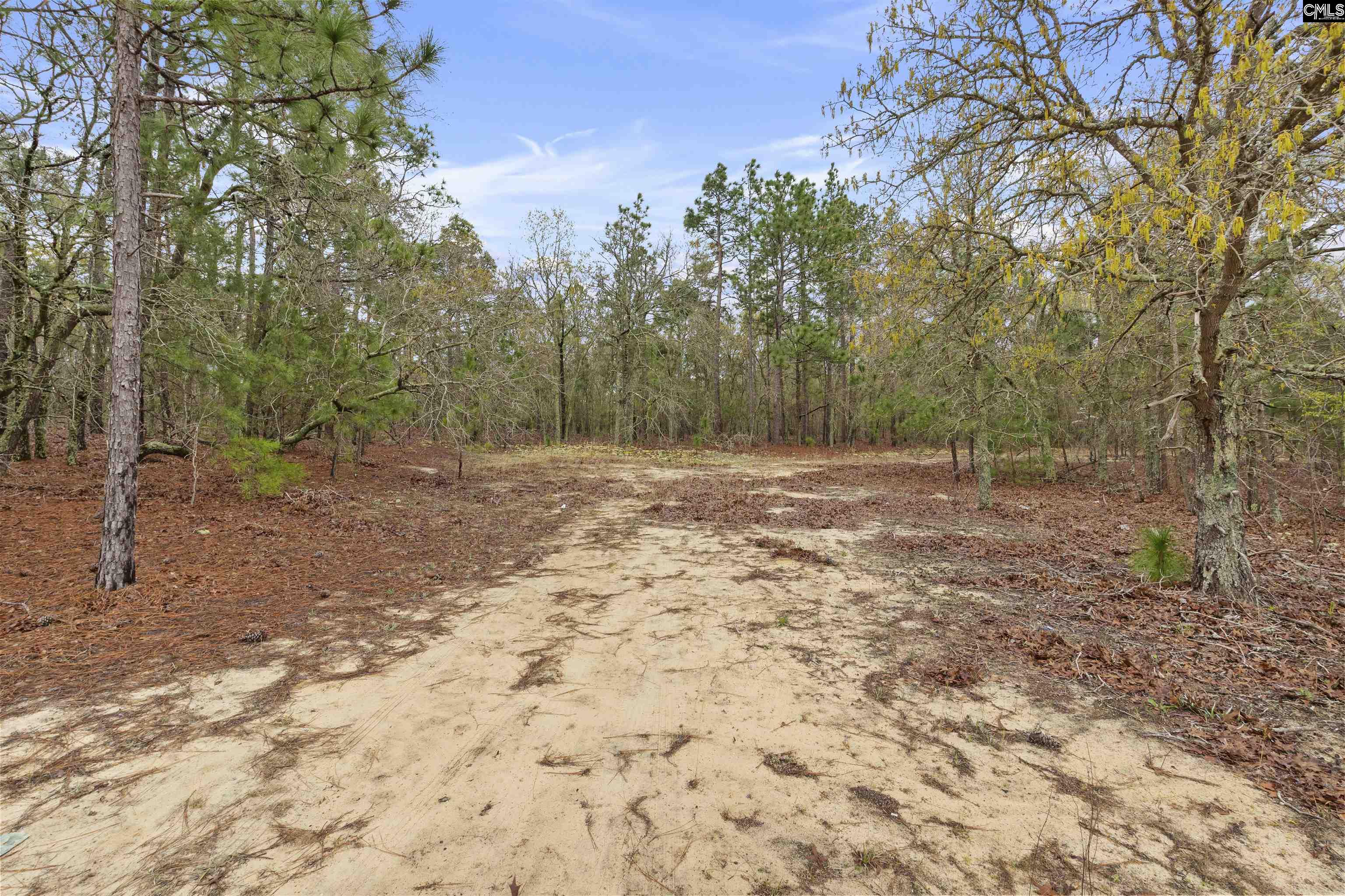 1409 Robinson Town Road, Cassatt, South Carolina image 6