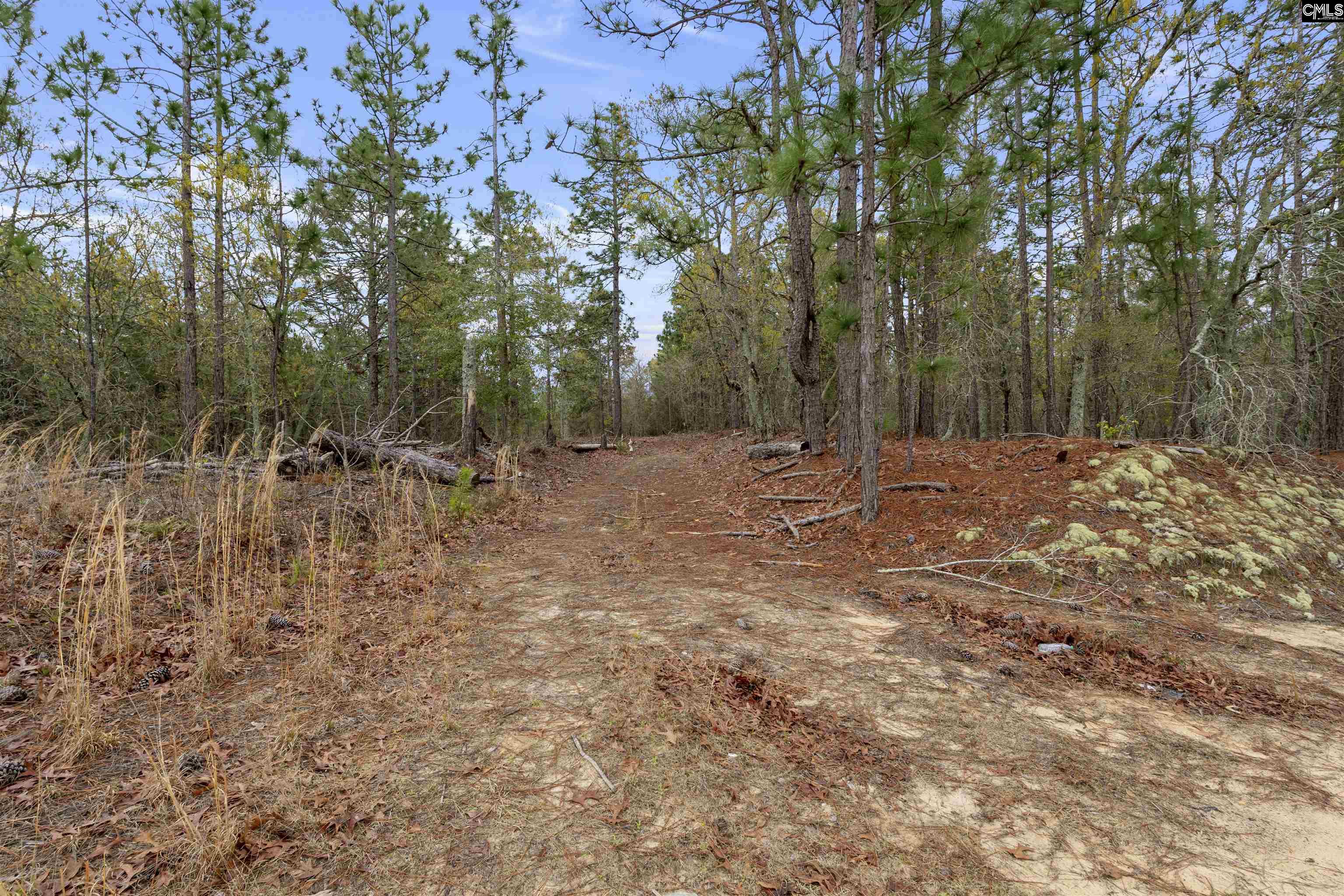 1409 Robinson Town Road, Cassatt, South Carolina image 7